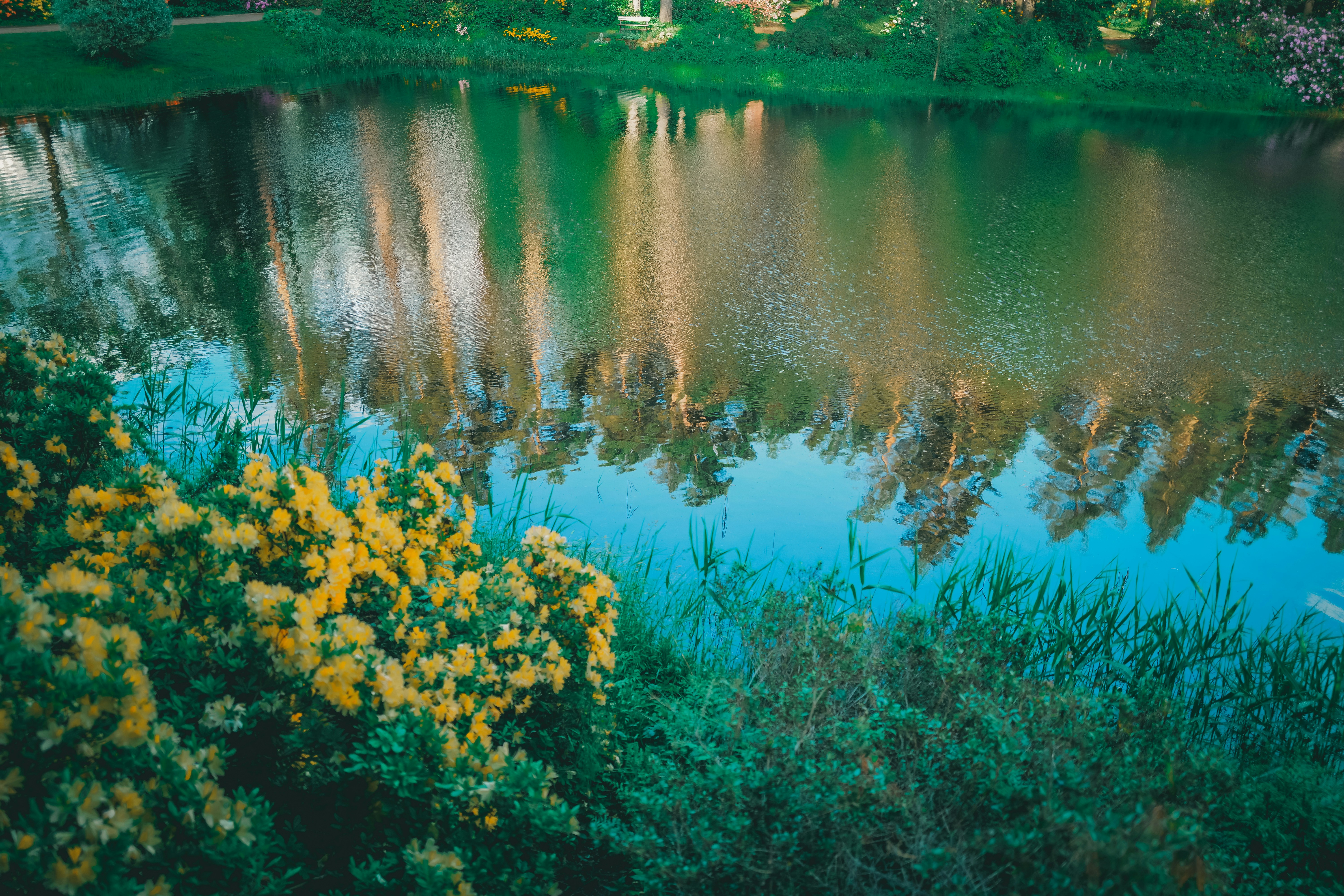 Photo by raimondklavins