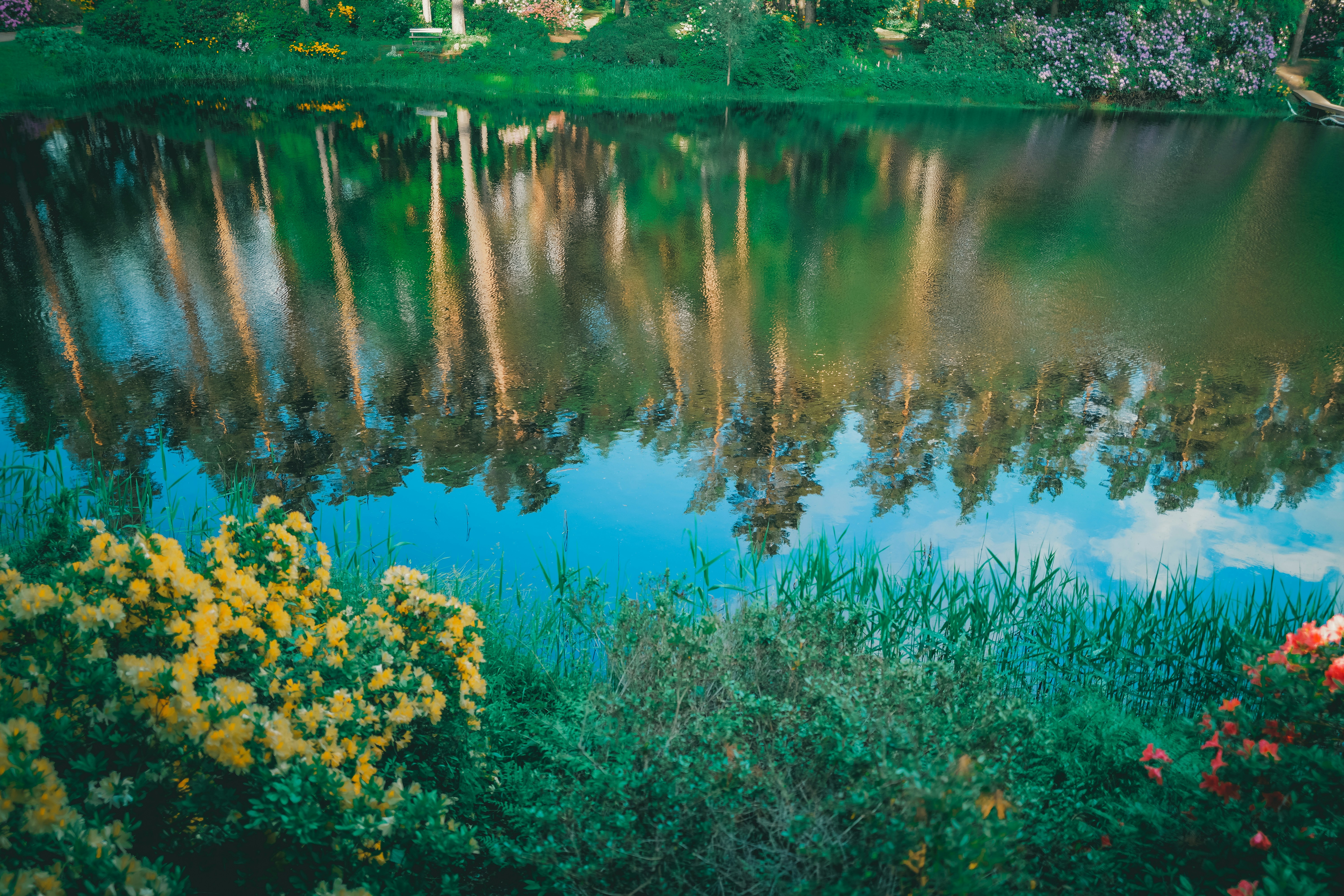 Photo by raimondklavins