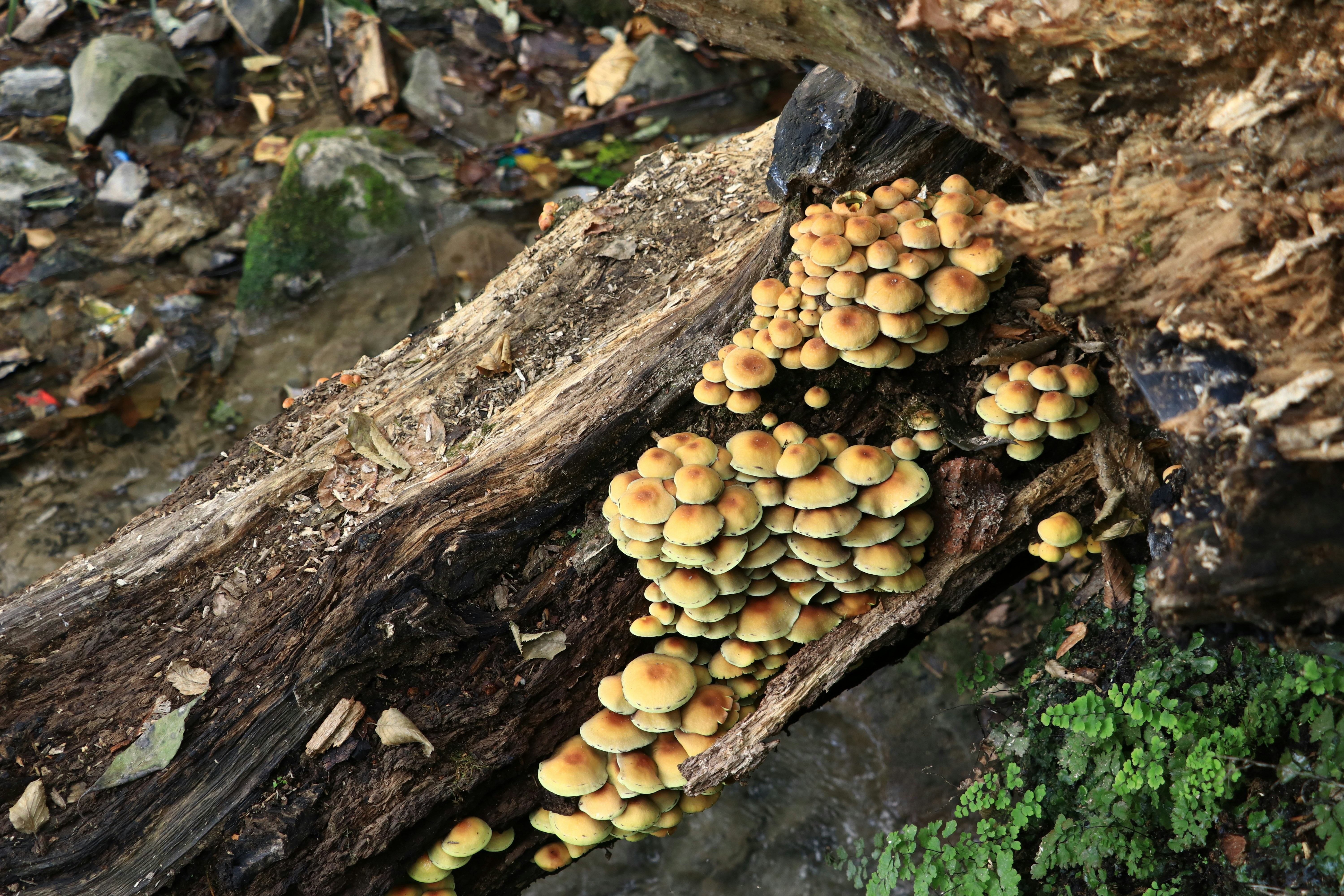 Photo by aliarjmandi