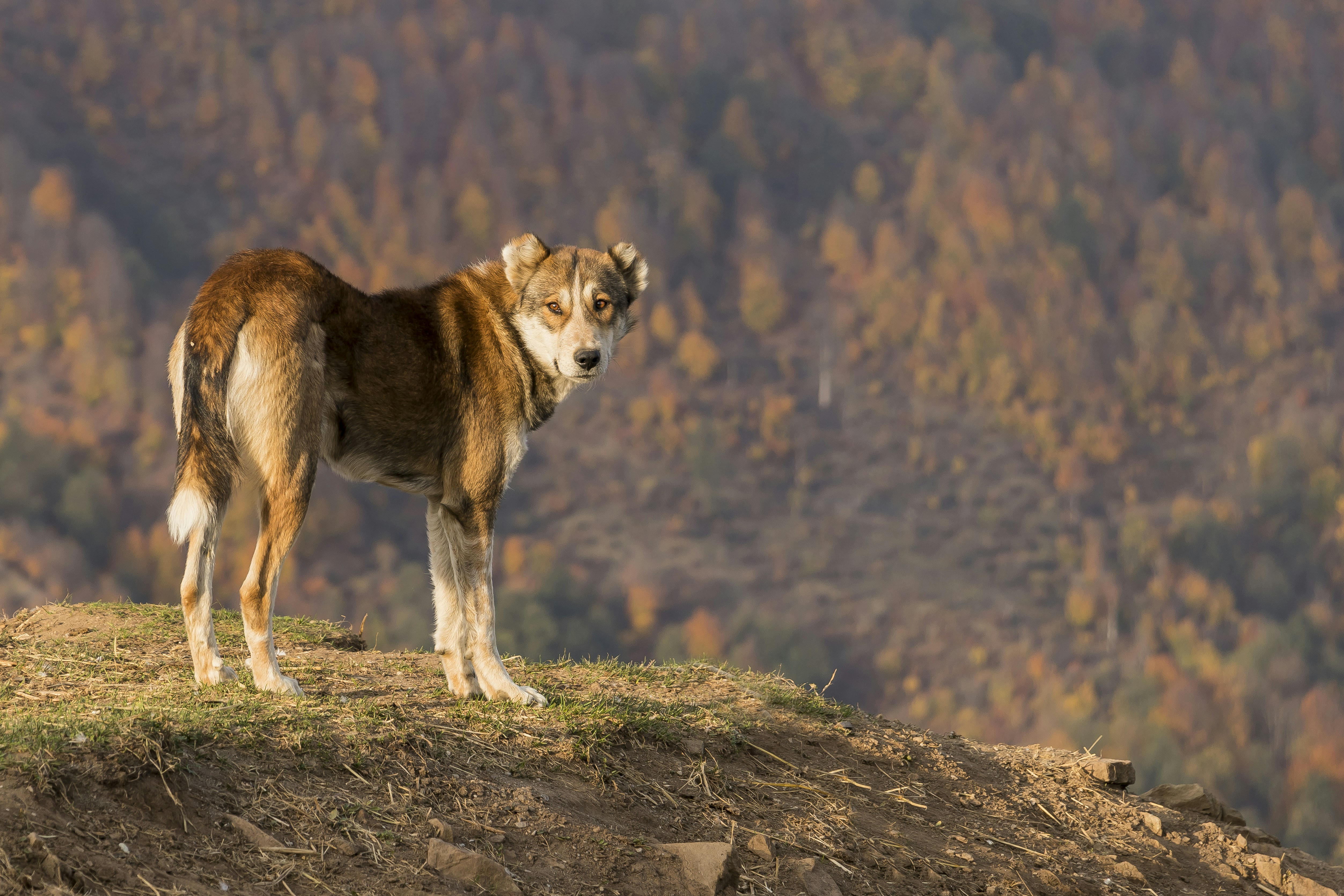 Photo by aliarjmandi