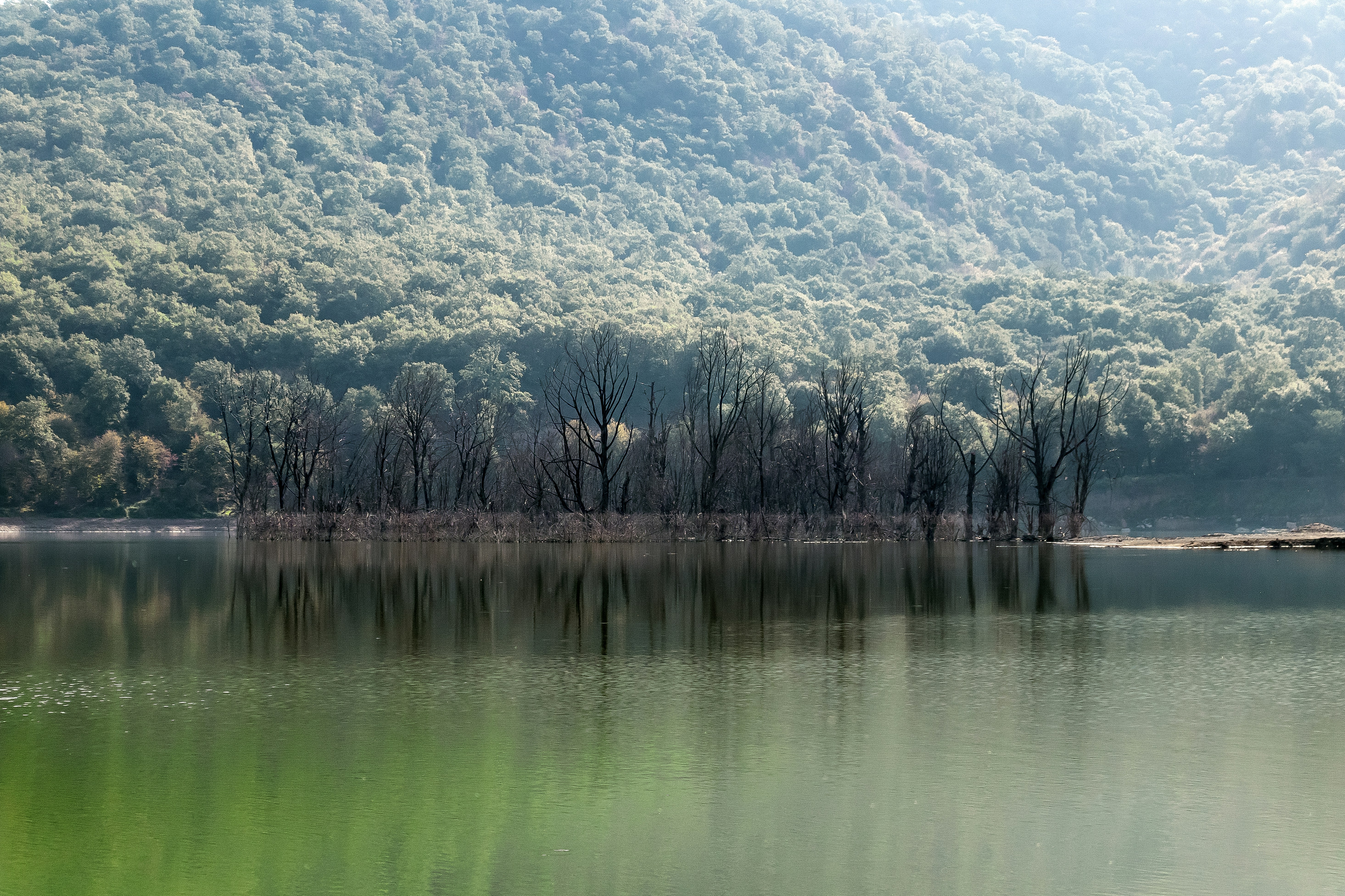 Photo by aliarjmandi