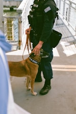A person wearing a uniform with tactical gear is securely holding a brown K-9 dog on a leash. The setting appears to be a dock or pier with metal railings and water in the background. The dog is wearing a collar labeled 'USCG K-9' and seems calm and attentive.