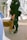 A person wearing a uniform with tactical gear is securely holding a brown K-9 dog on a leash. The setting appears to be a dock or pier with metal railings and water in the background. The dog is wearing a collar labeled 'USCG K-9' and seems calm and attentive.