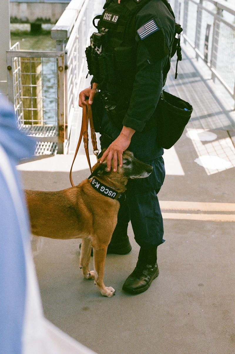 Maître-chien Falcon Security