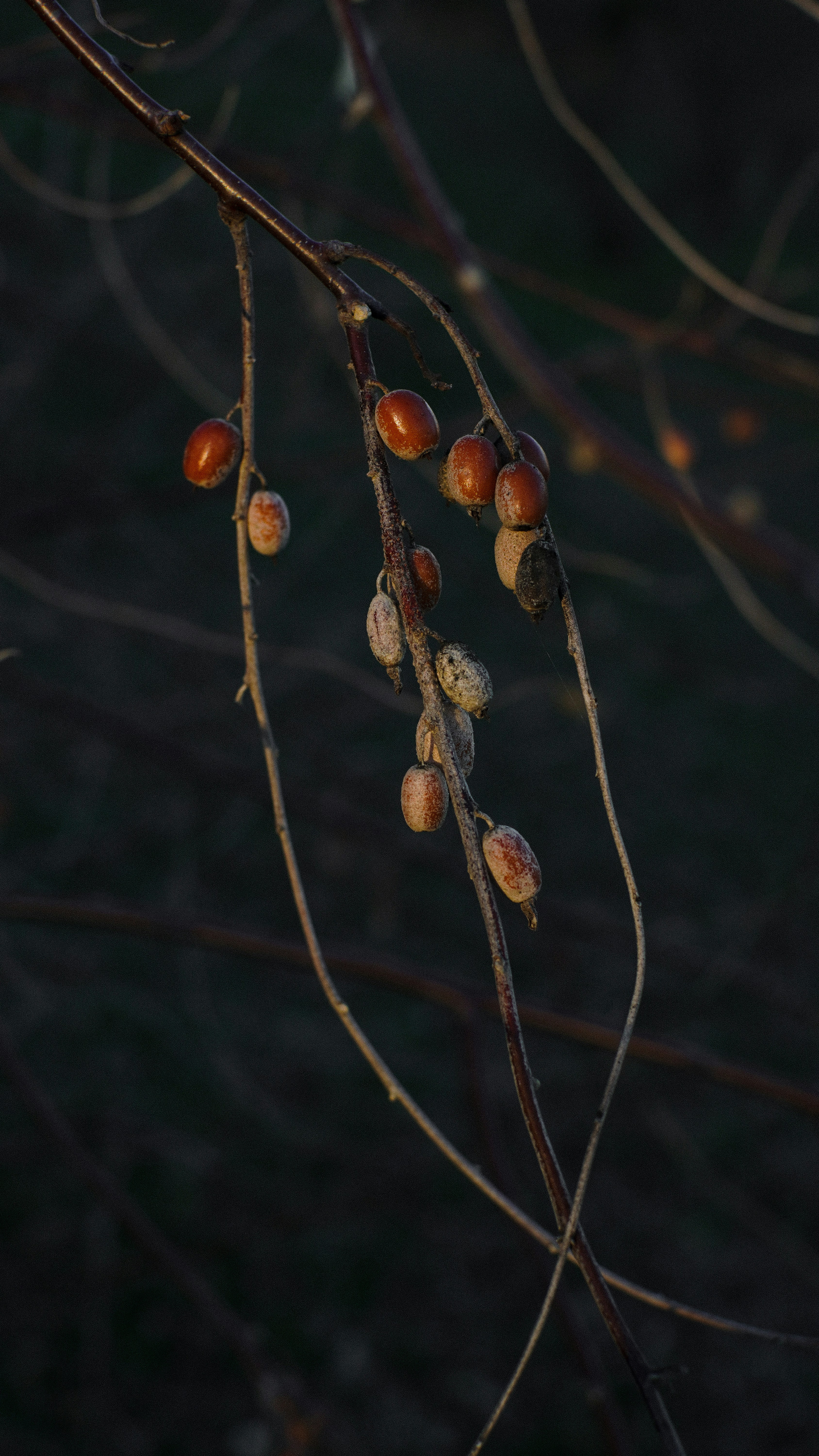 Photo by suleymanovae