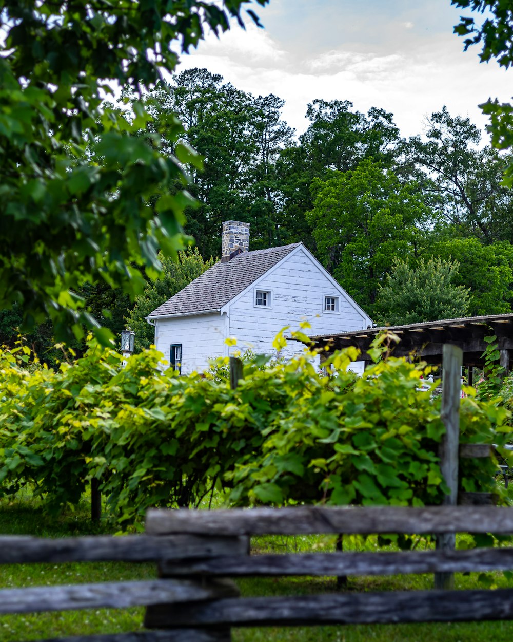 a white house surrounded by trees