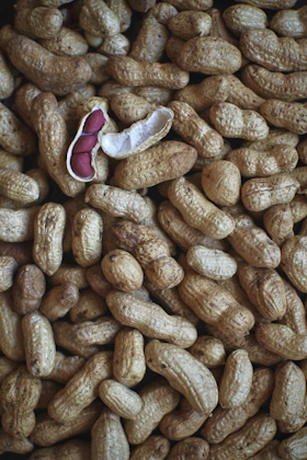 a pile of coffee beans