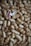 A collection of unshelled peanuts is scattered across the surface, with one peanut opened to reveal its reddish-brown seeds. The textured shells create a rough and natural pattern throughout the image.