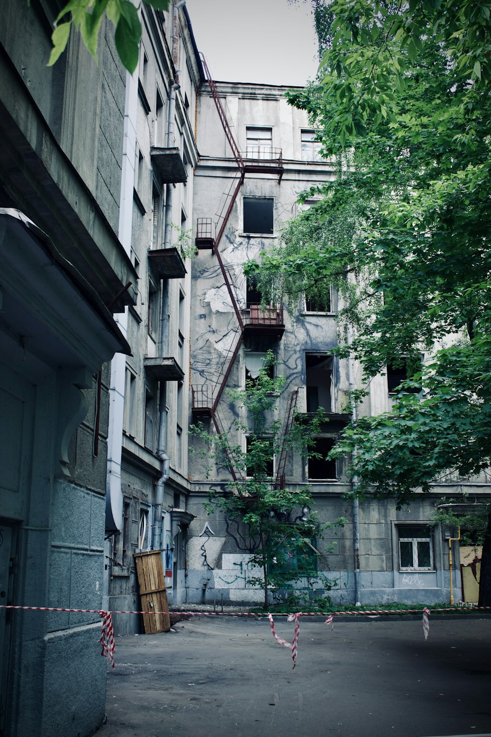 a building with plants growing on the side