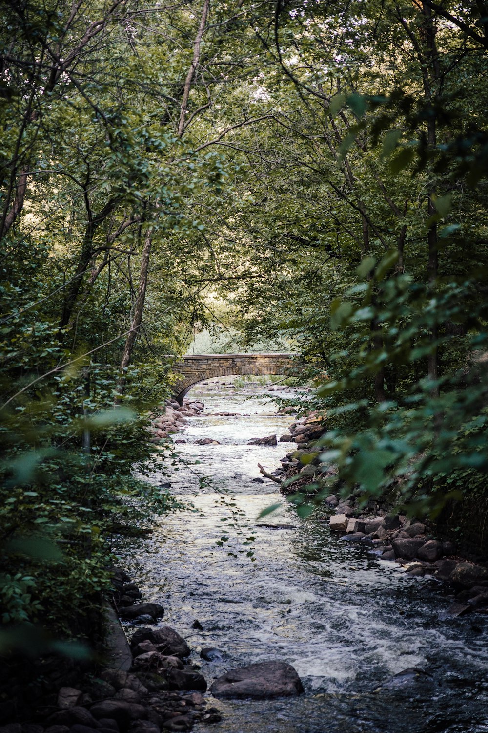 a river with a bridge over it