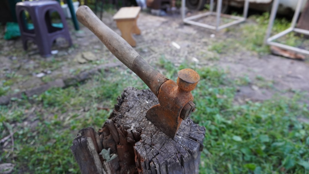 un ceppo d'albero con un bastone in esso