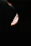 Close-up of a sleek car headlight glowing brightly at dusk