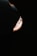 A close-up of a sleek auto lamp showcasing its modern design and bright illumination.