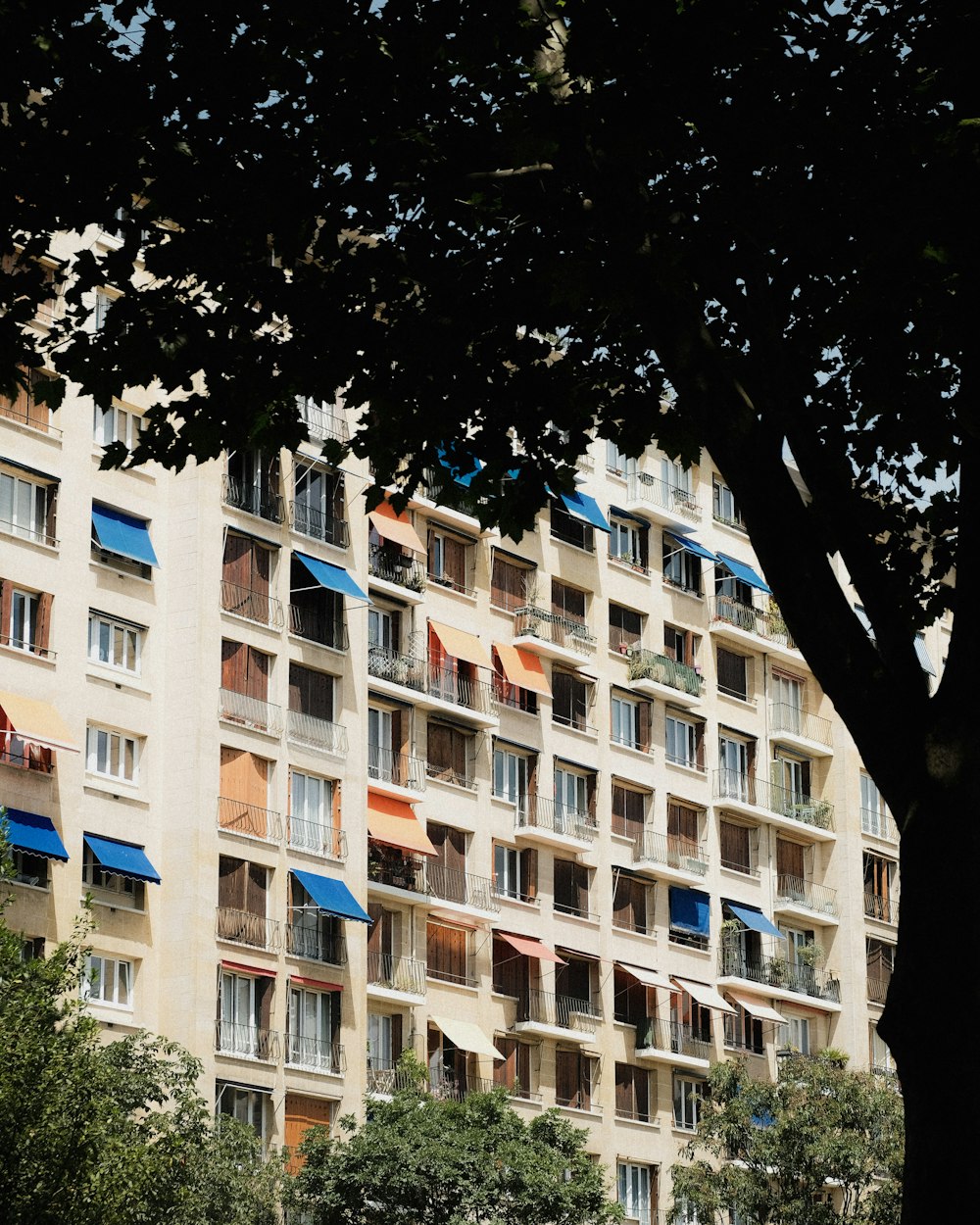 a tree next to a building