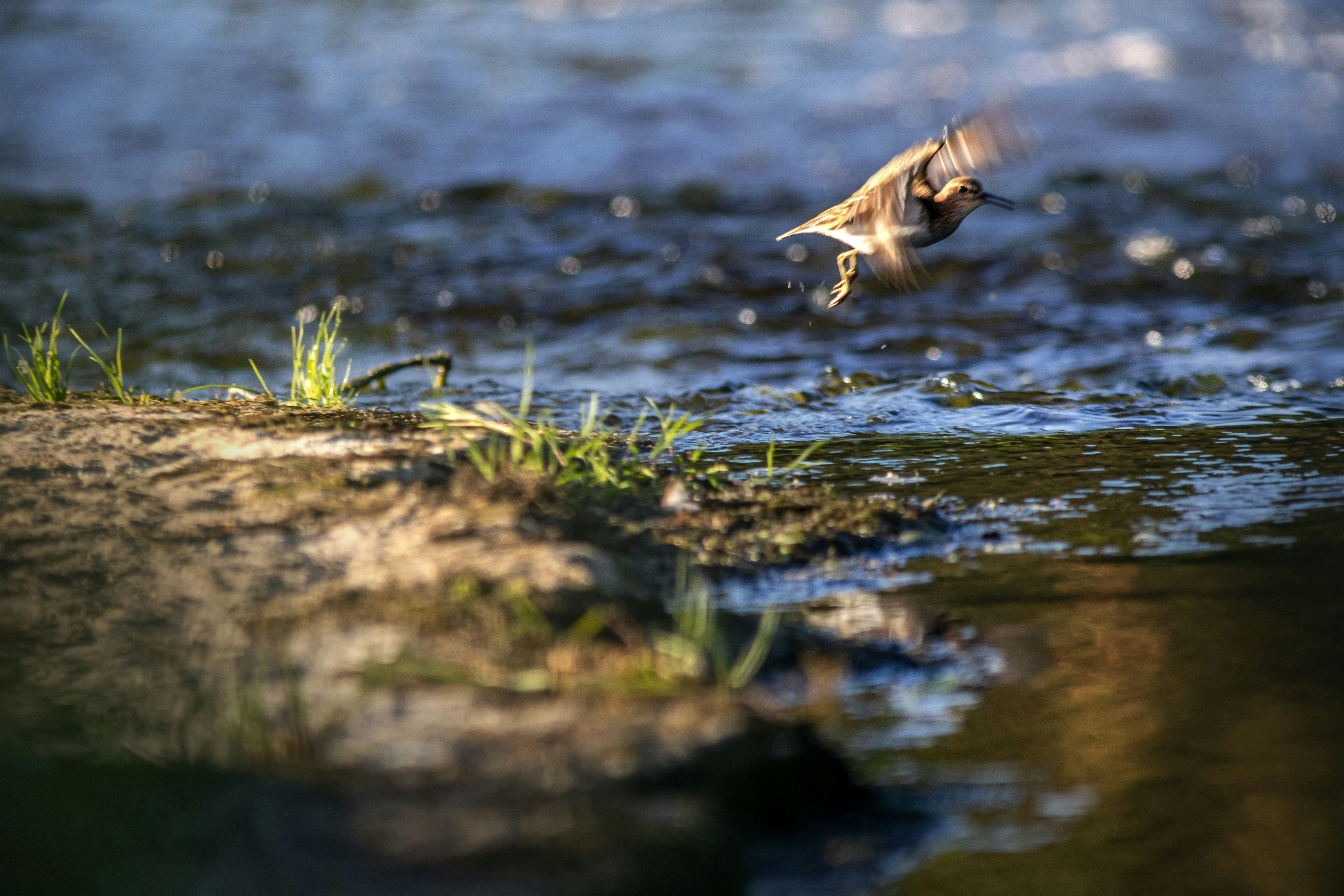 Photo by erik_karits