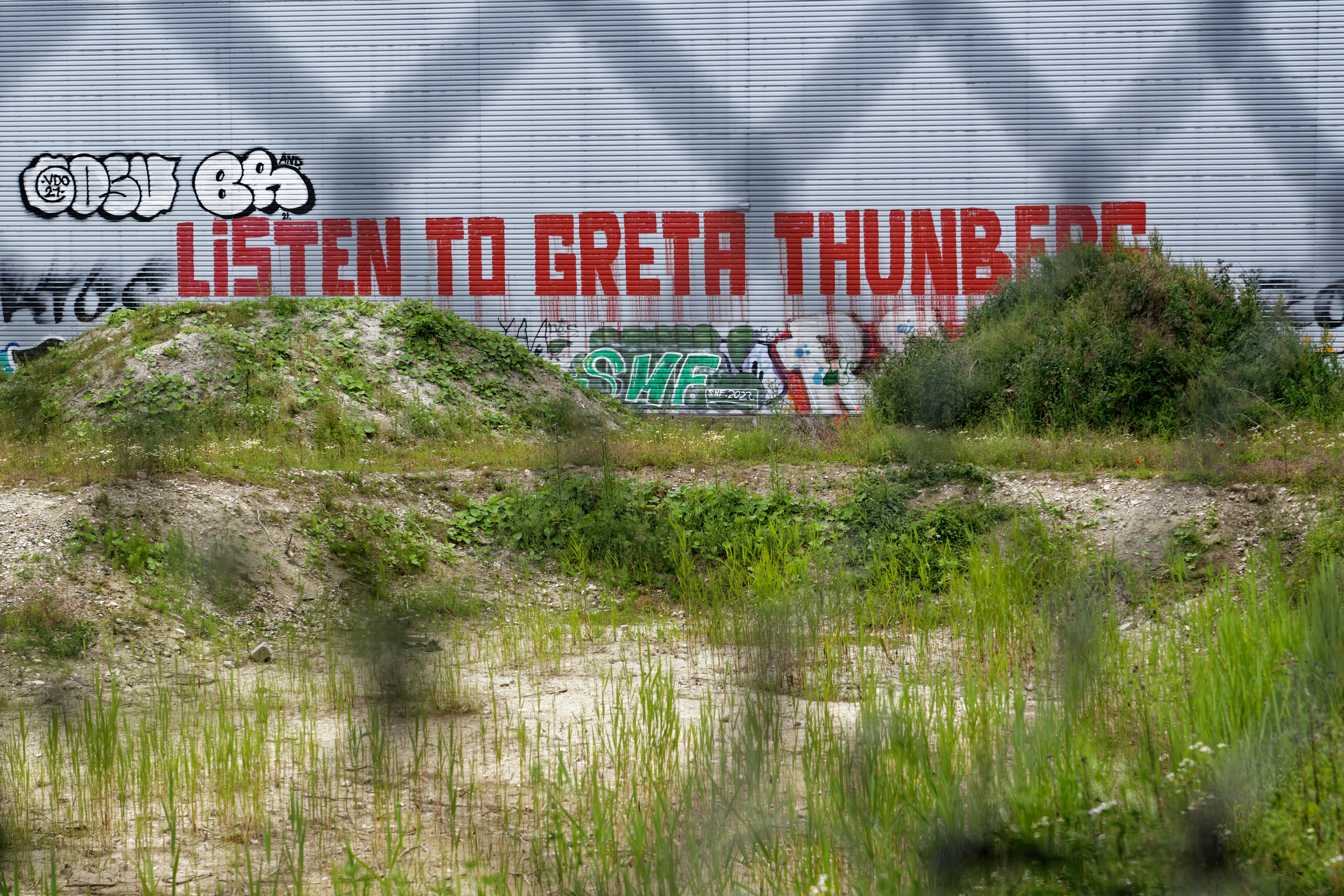 Happy Birthday Greta Thunberg — Heartfelt Wishes From Fans