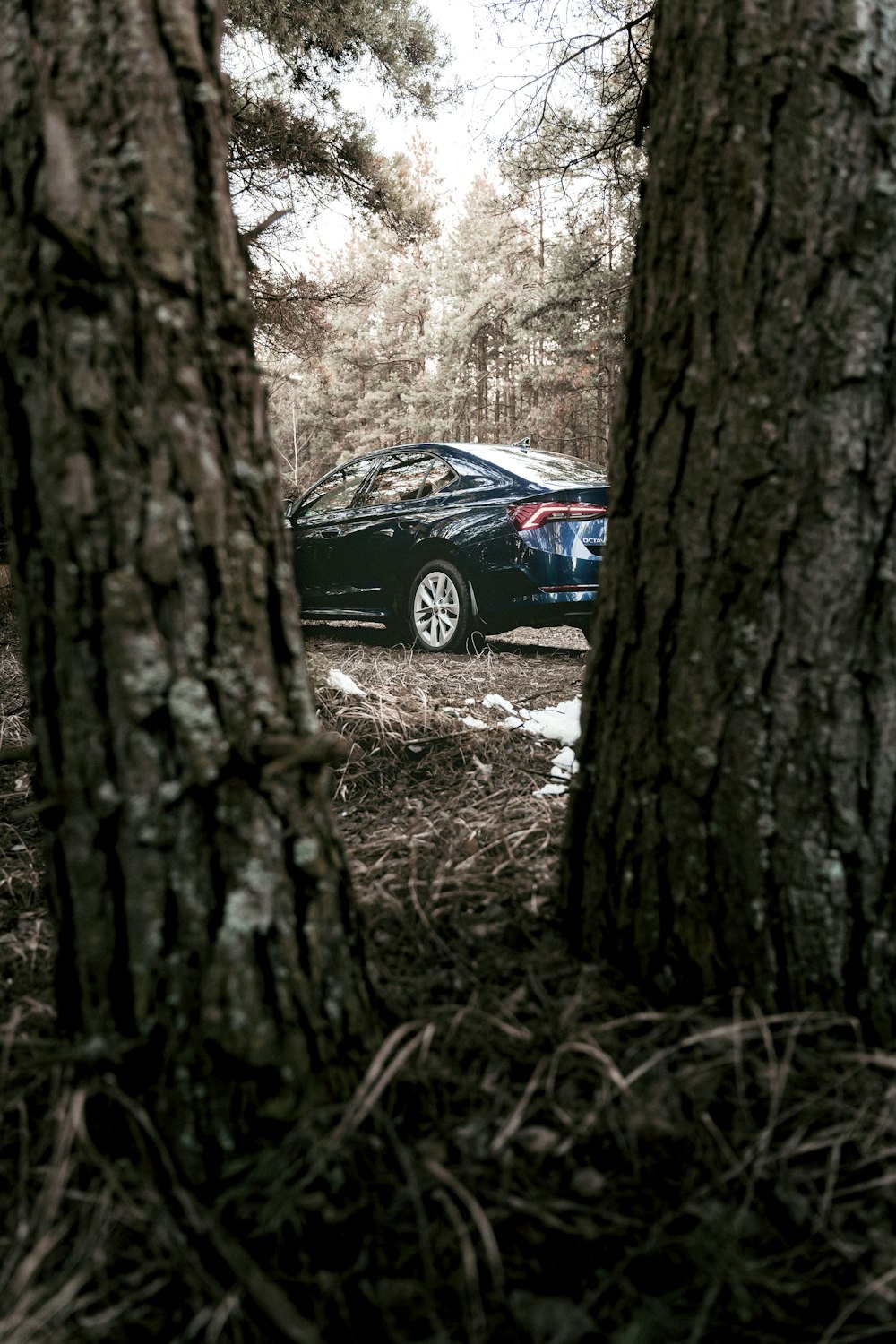 a car parked in a wooded area