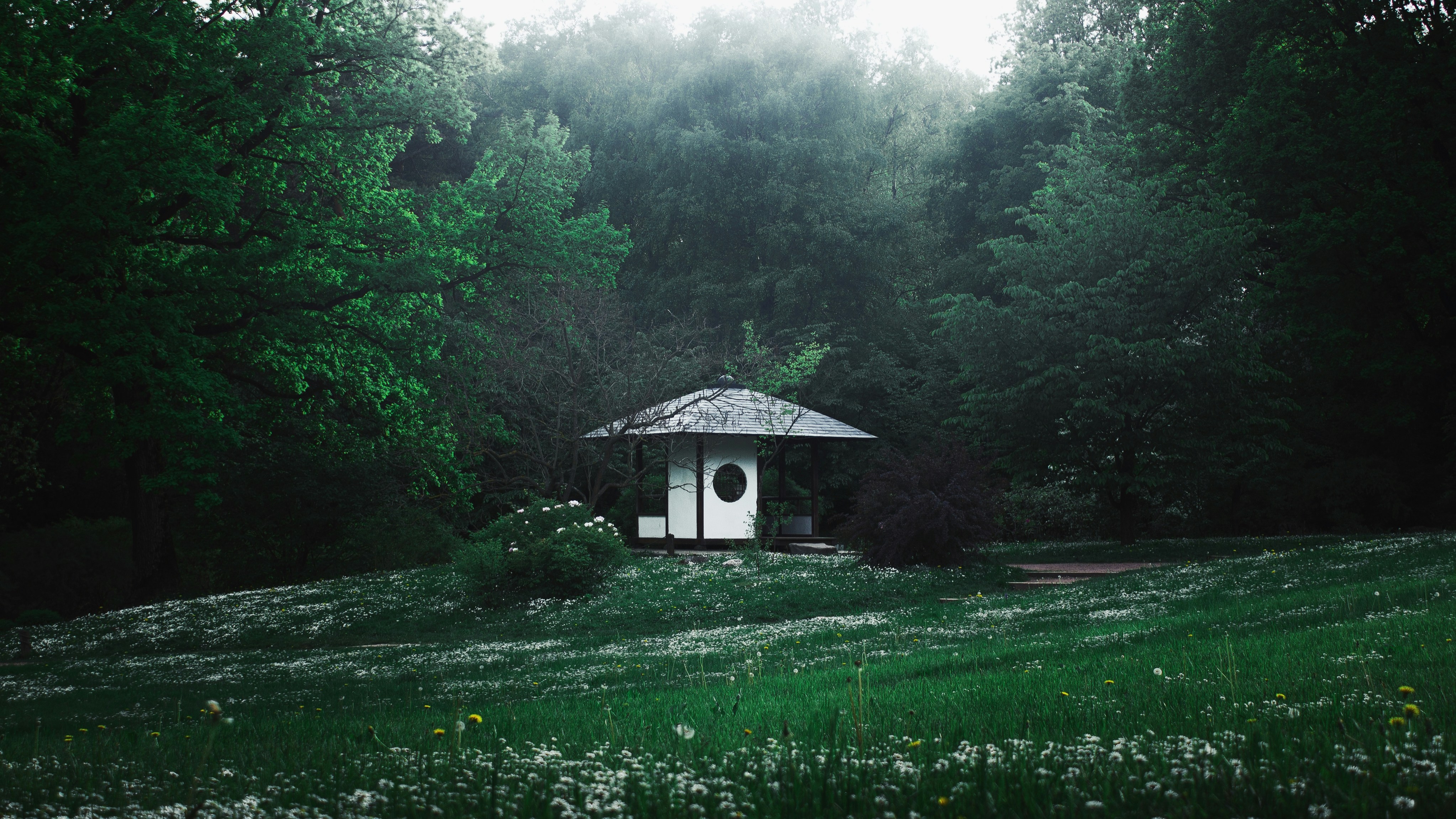 Photo by arsenijvolkov