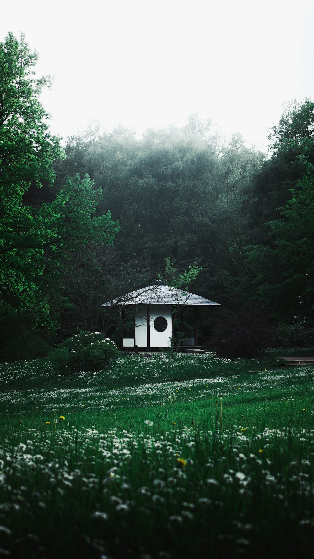 a small house in a field of grass