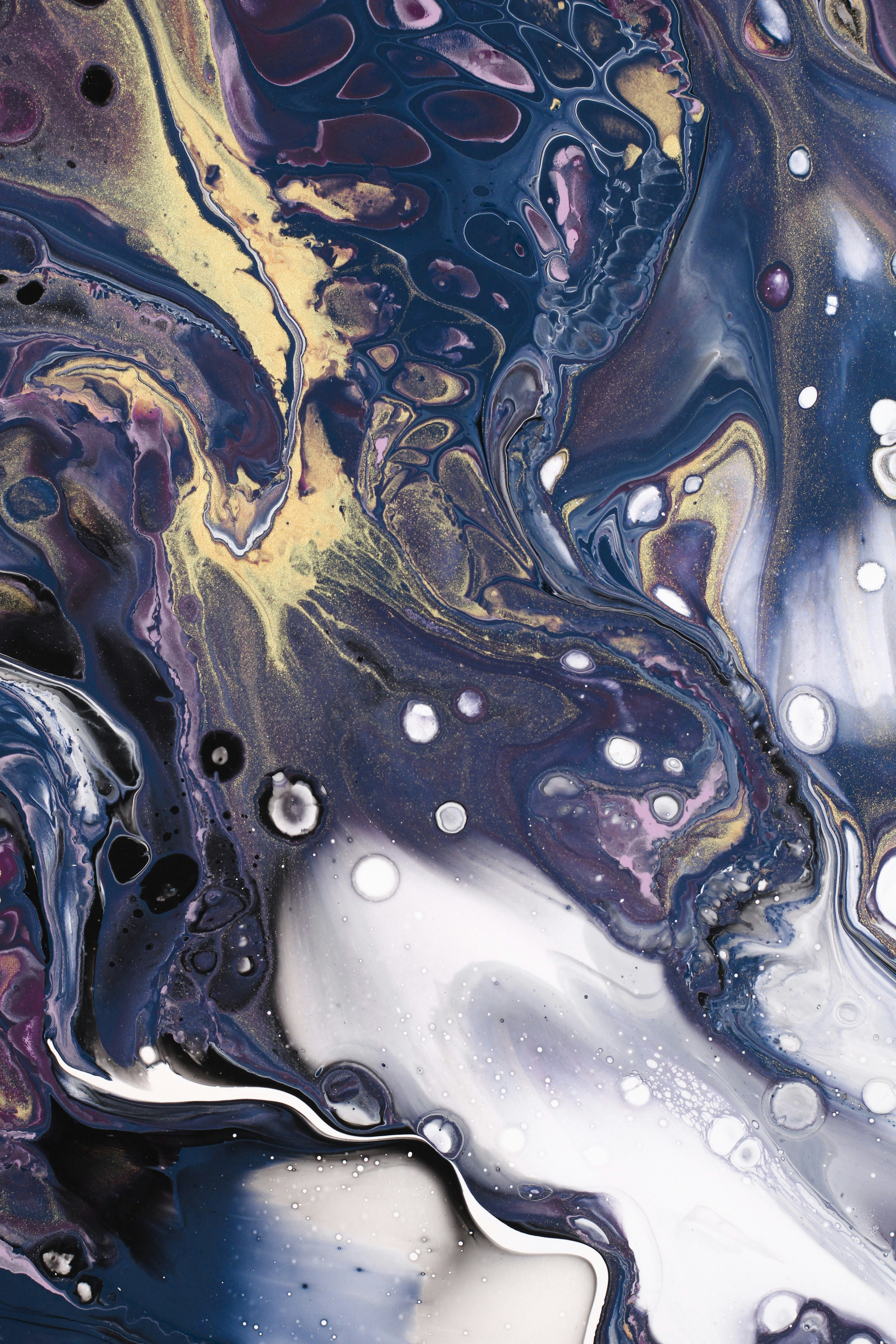 Photo by susan_wilkinson