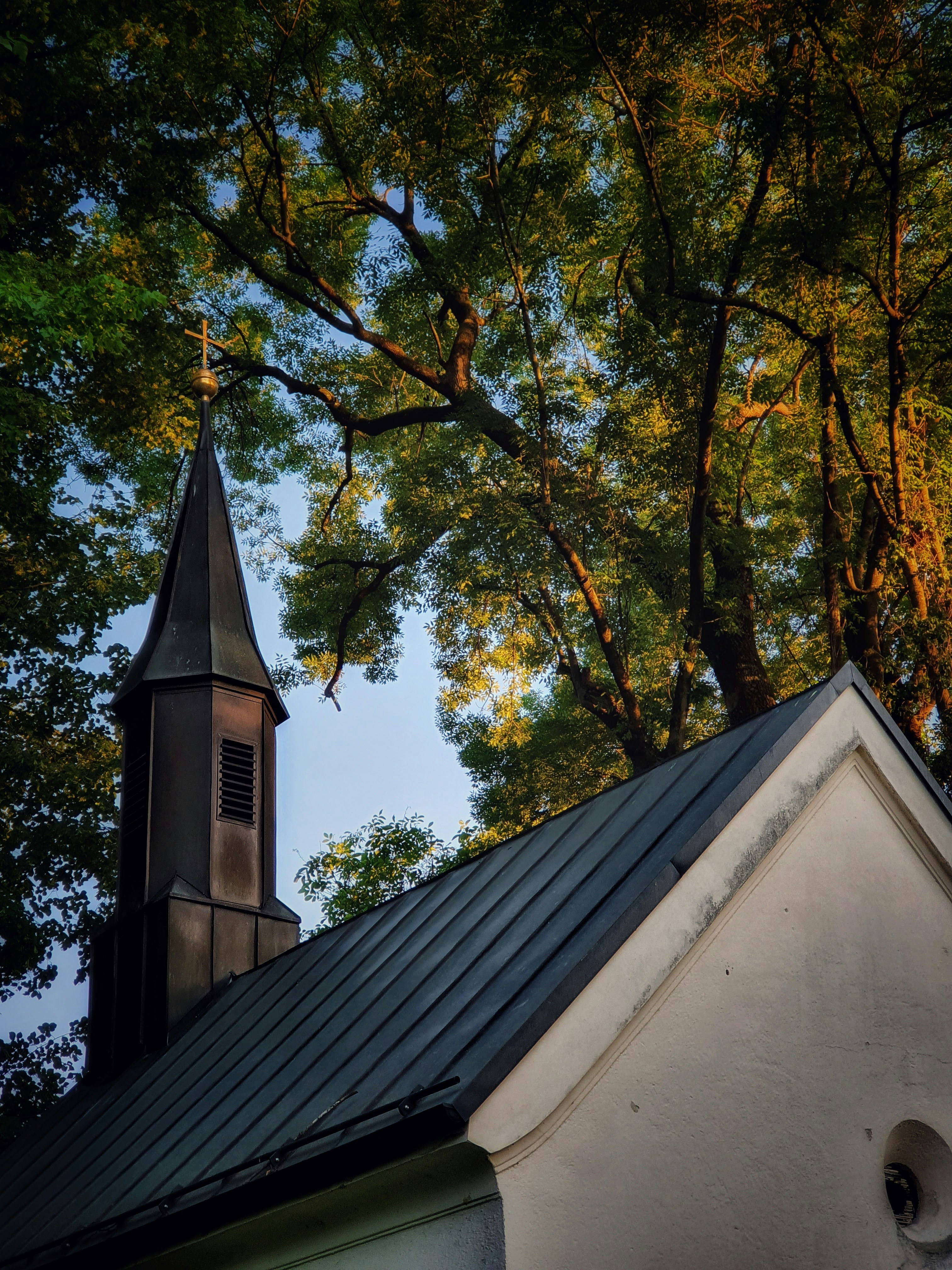 Photo by orange_seeds