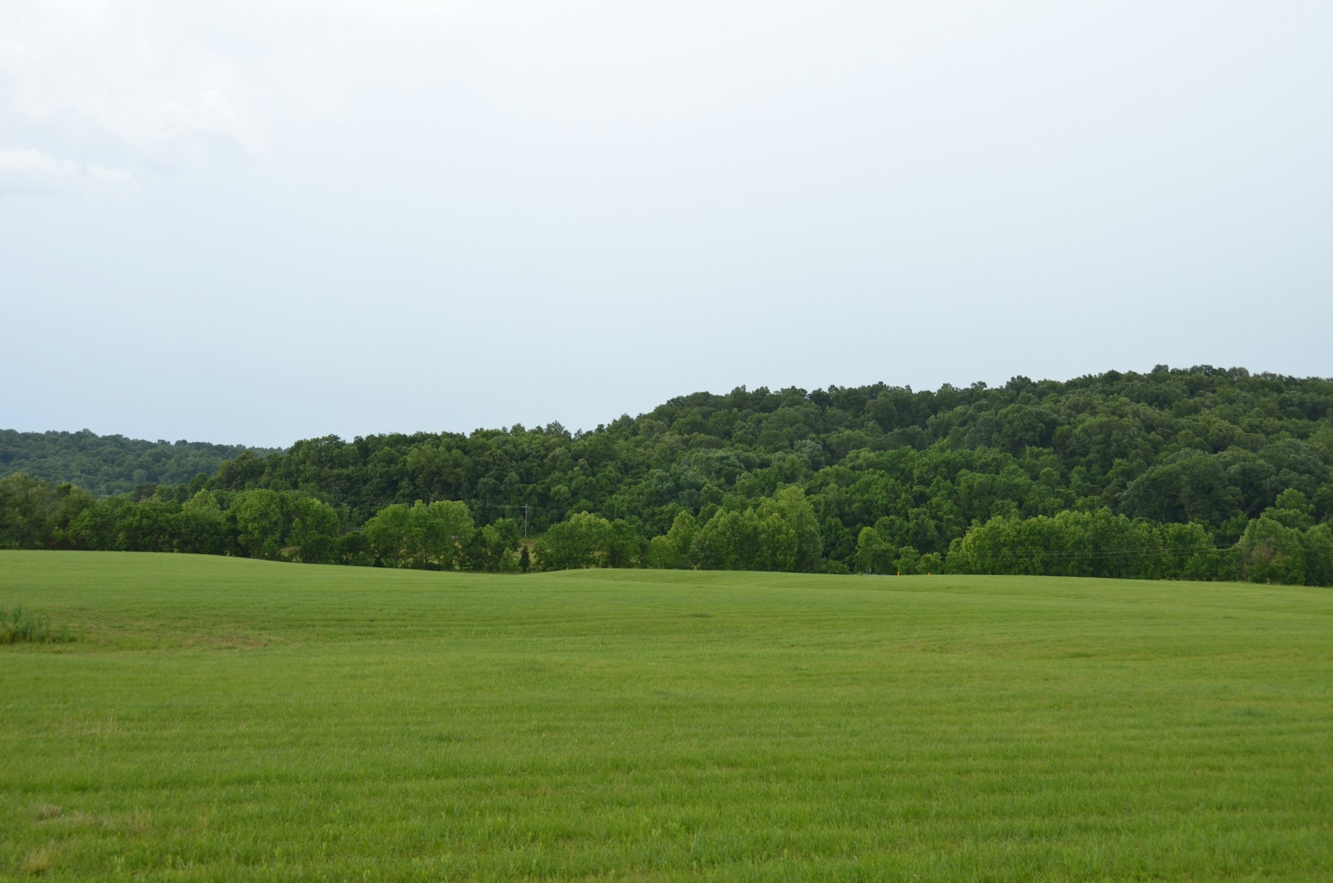 a large green field with trees in the background