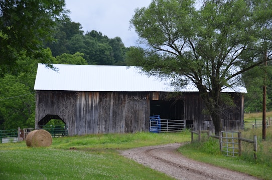 A rustic wooden barn with a white metal roof sits amidst lush greenery. A tree stands beside the barn, and there is a gravel path leading up to it. A hay bale is visible in the foreground, and the backdrop is filled with dense green trees and grassy fields.