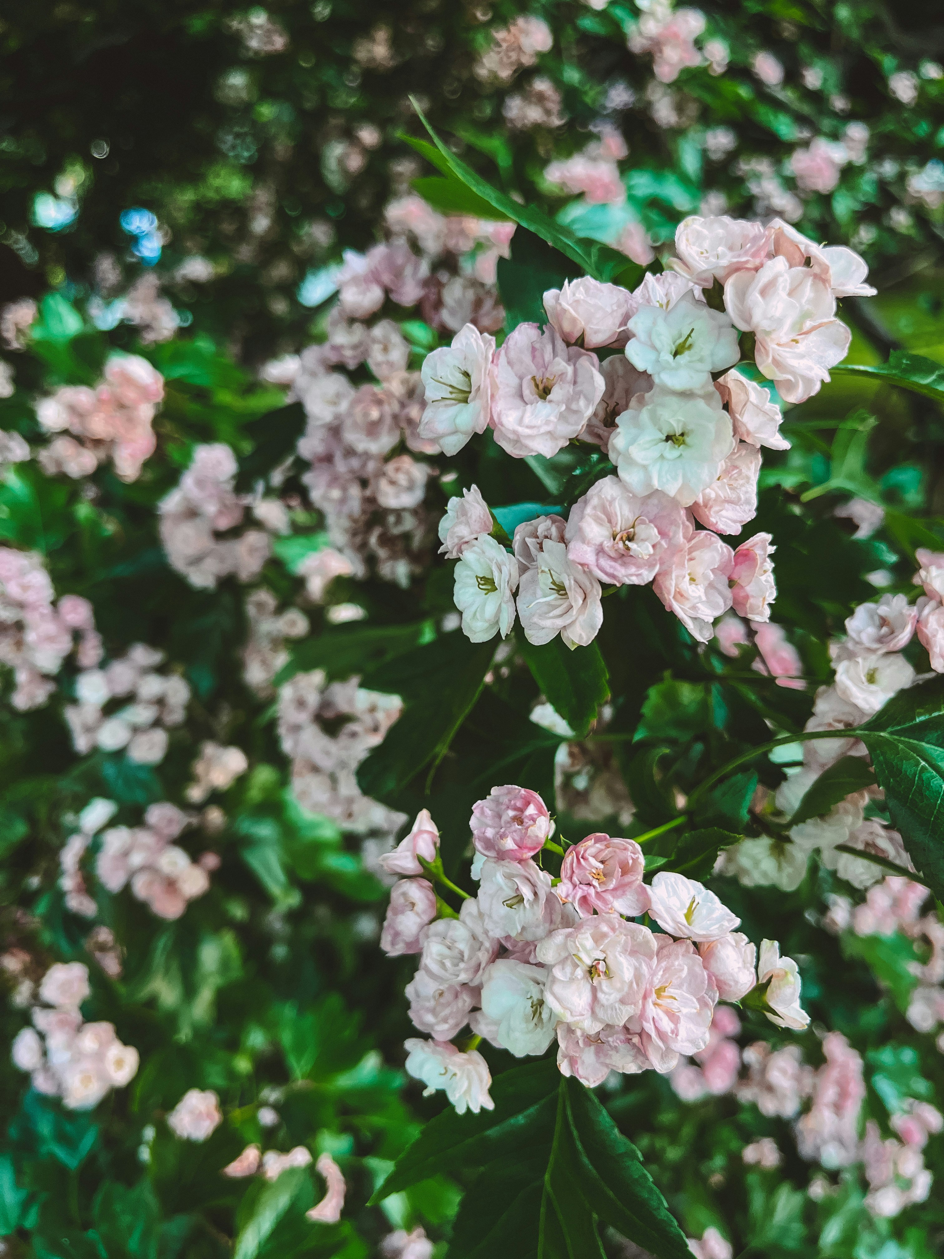 Photo by vallevali_o