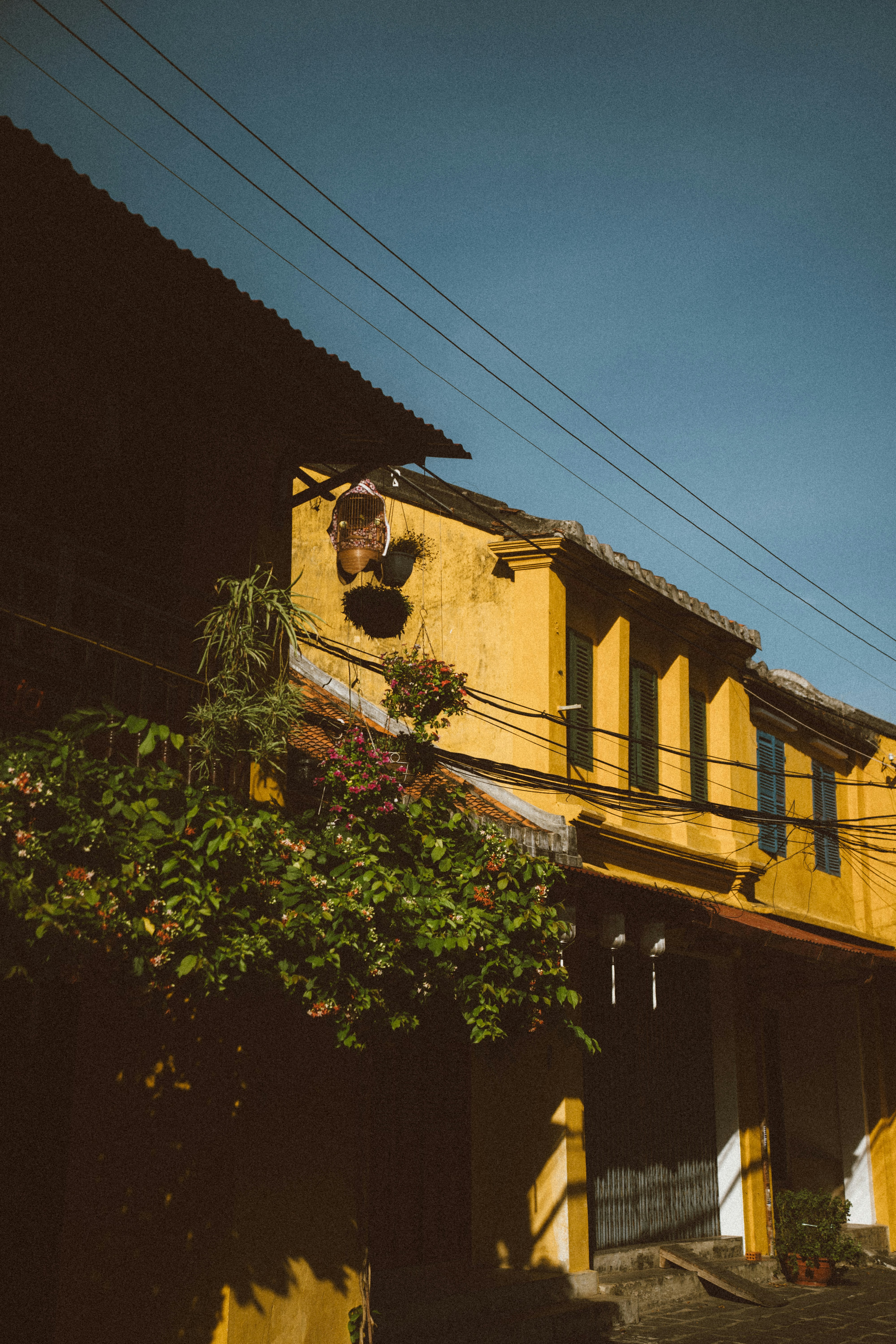 Photo by hoianphotographer