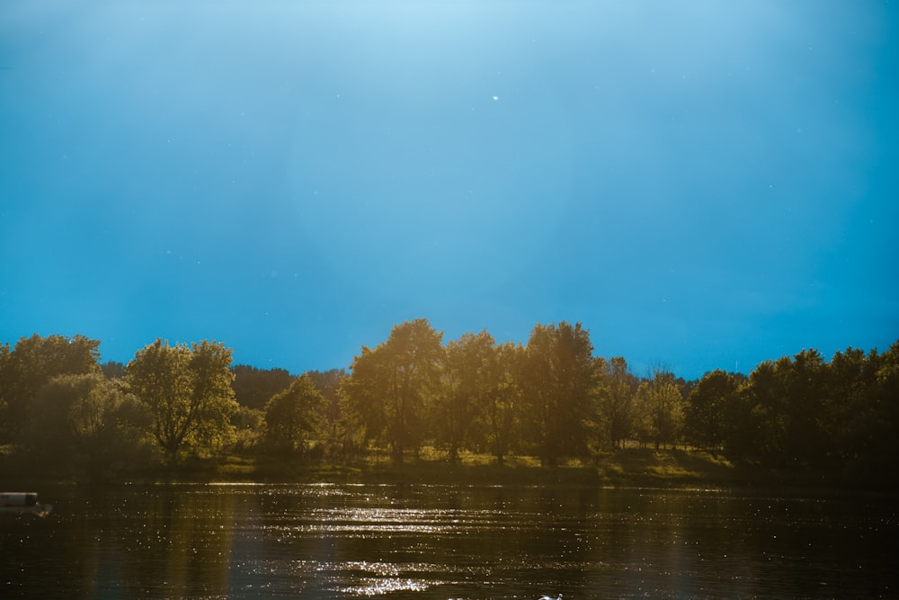 a body of water with trees around it