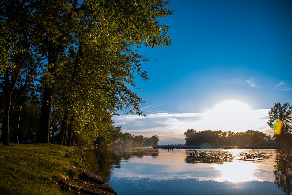 a body of water with trees around it