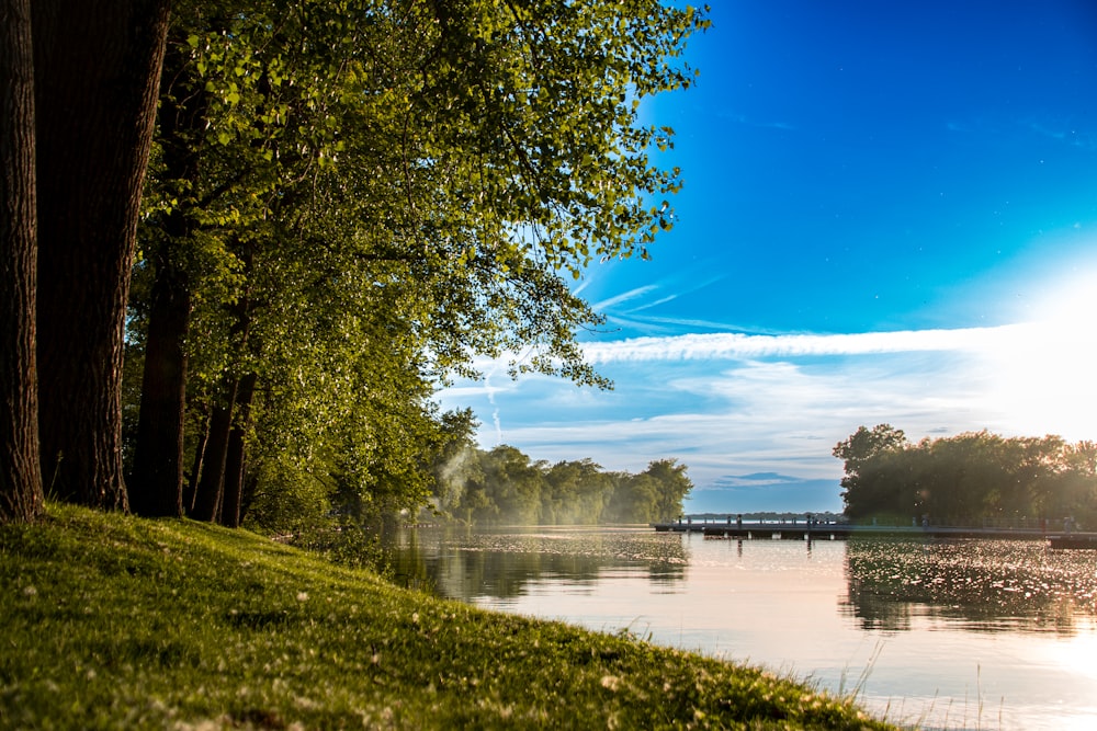 a body of water with trees around it