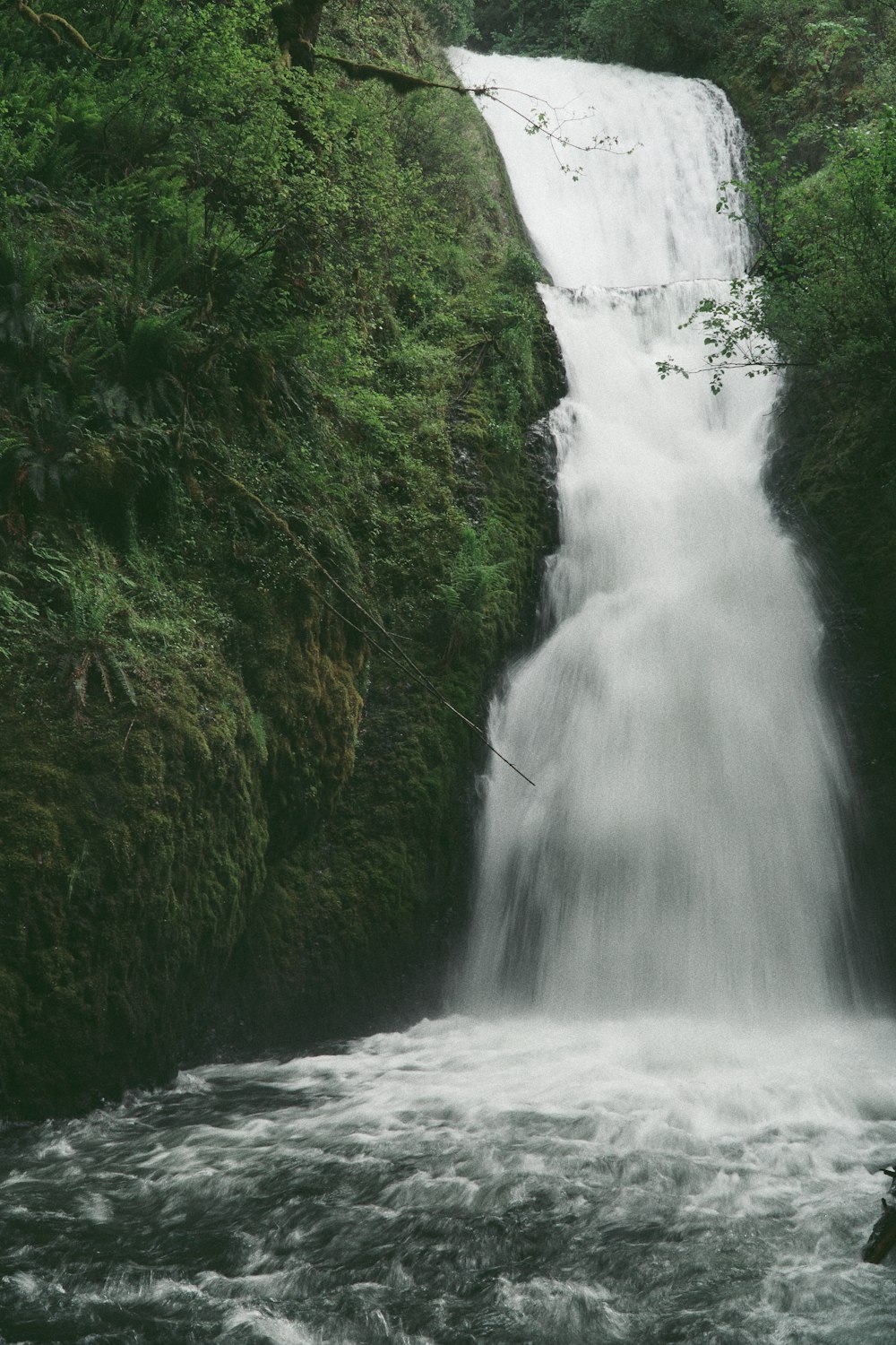 a waterfall in a forest