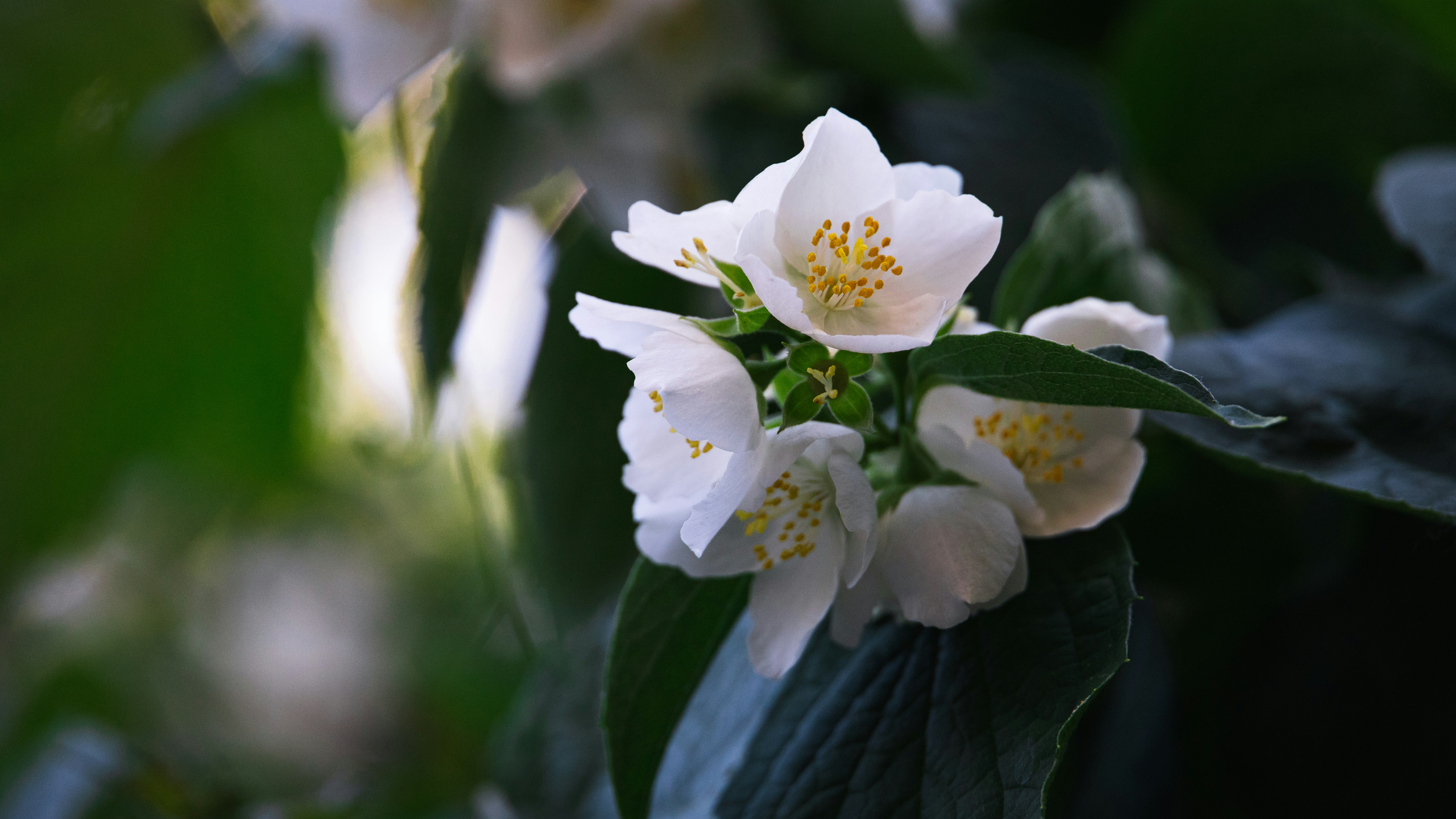 Photo by hanyangzhang