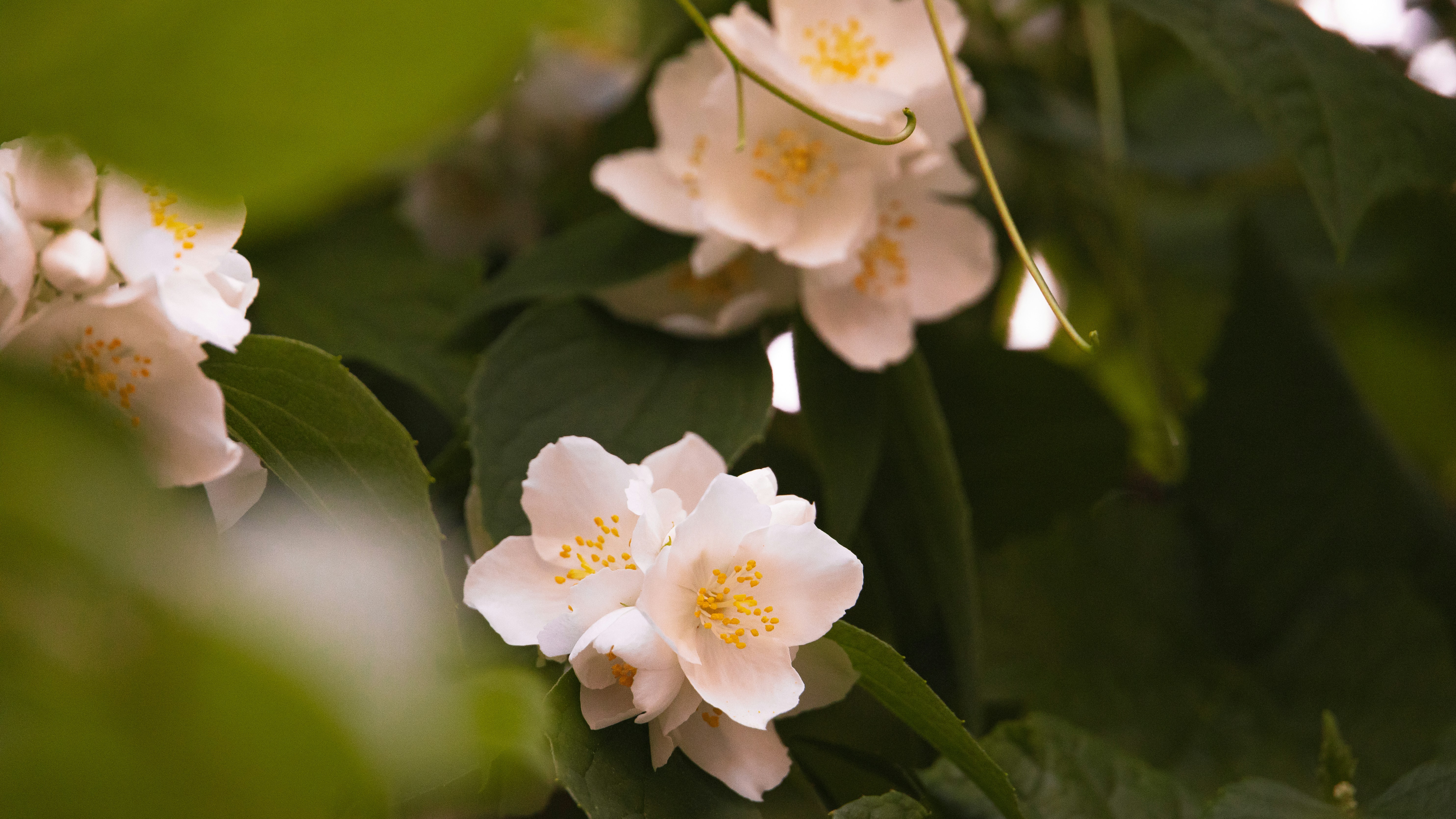 Photo by hanyangzhang