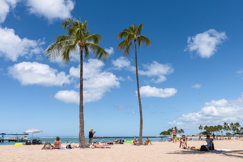 people on a beach