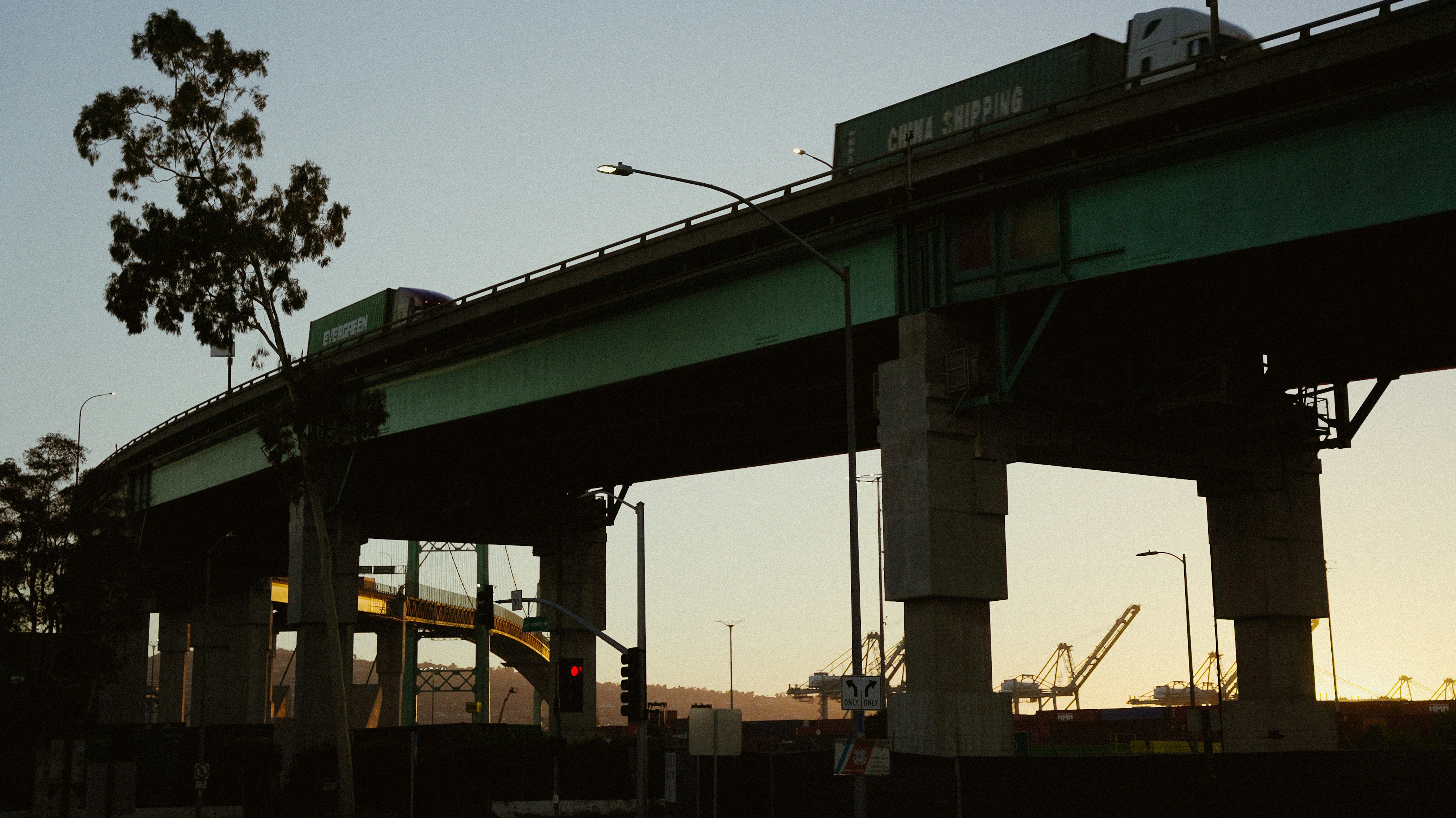 Photo by director_homie