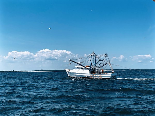 A boat sailing on the sea