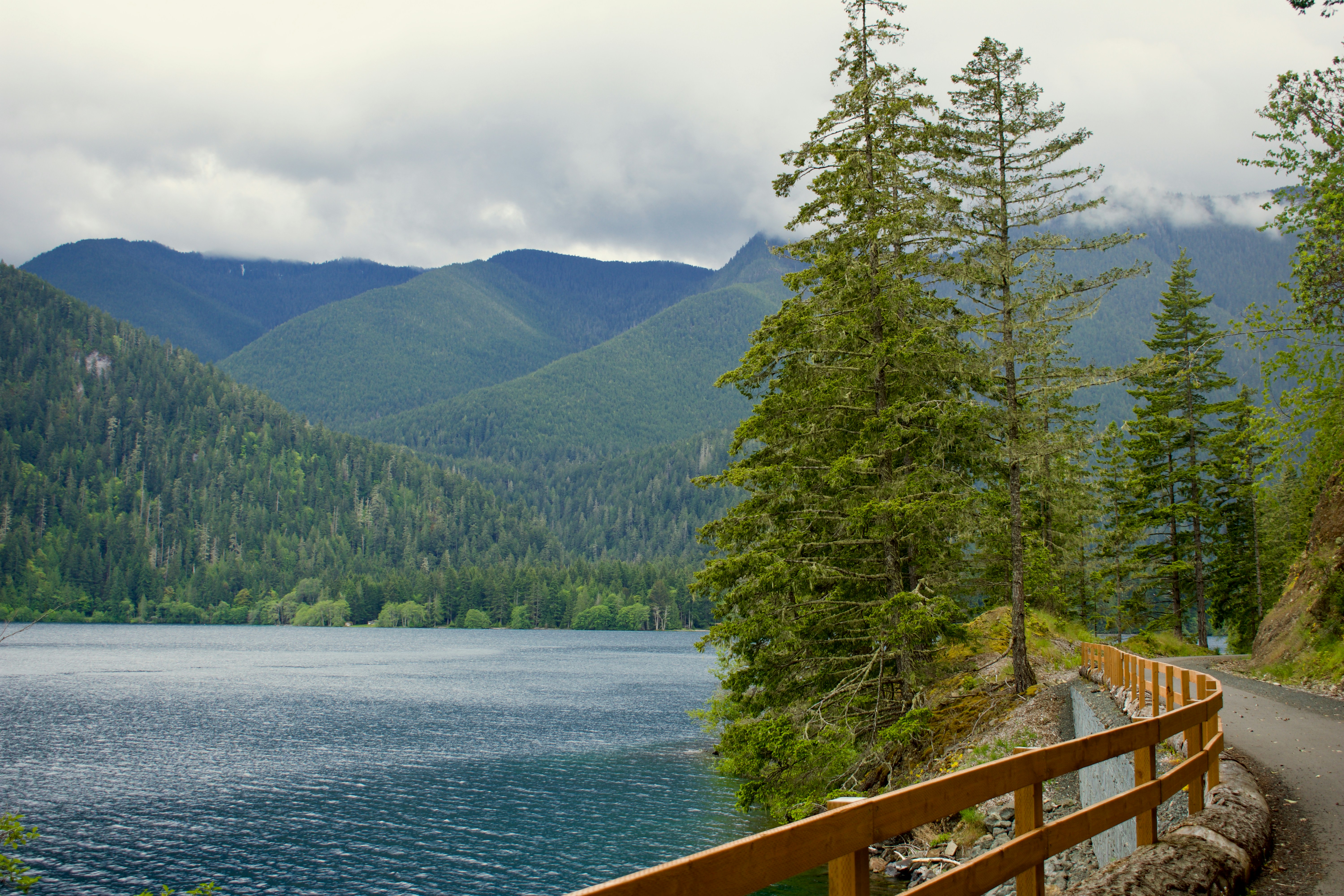 a wooden bridge over a lake