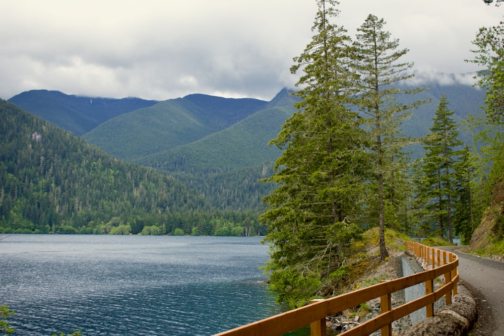 a wooden bridge over a lake