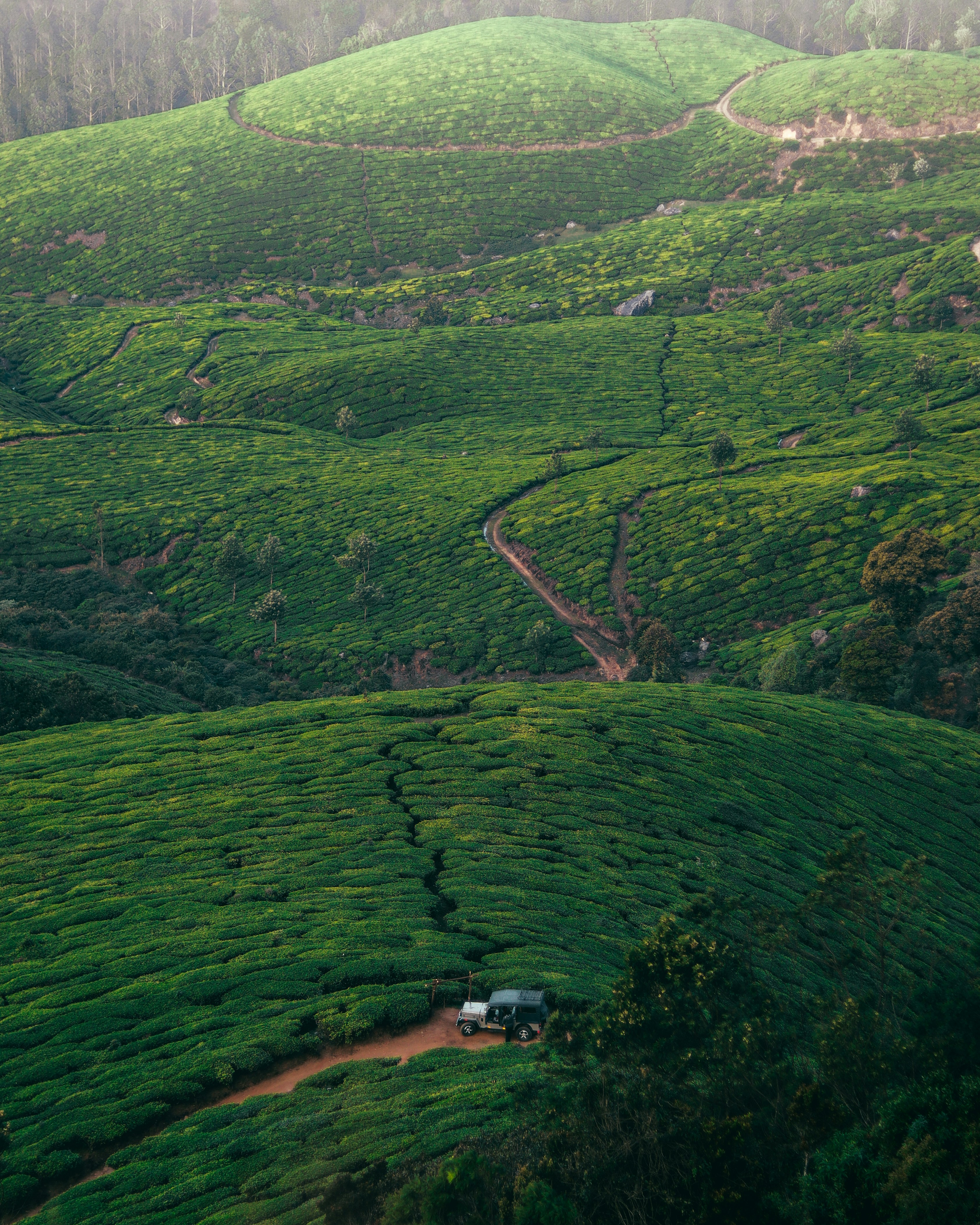 Photo by jeswinjames