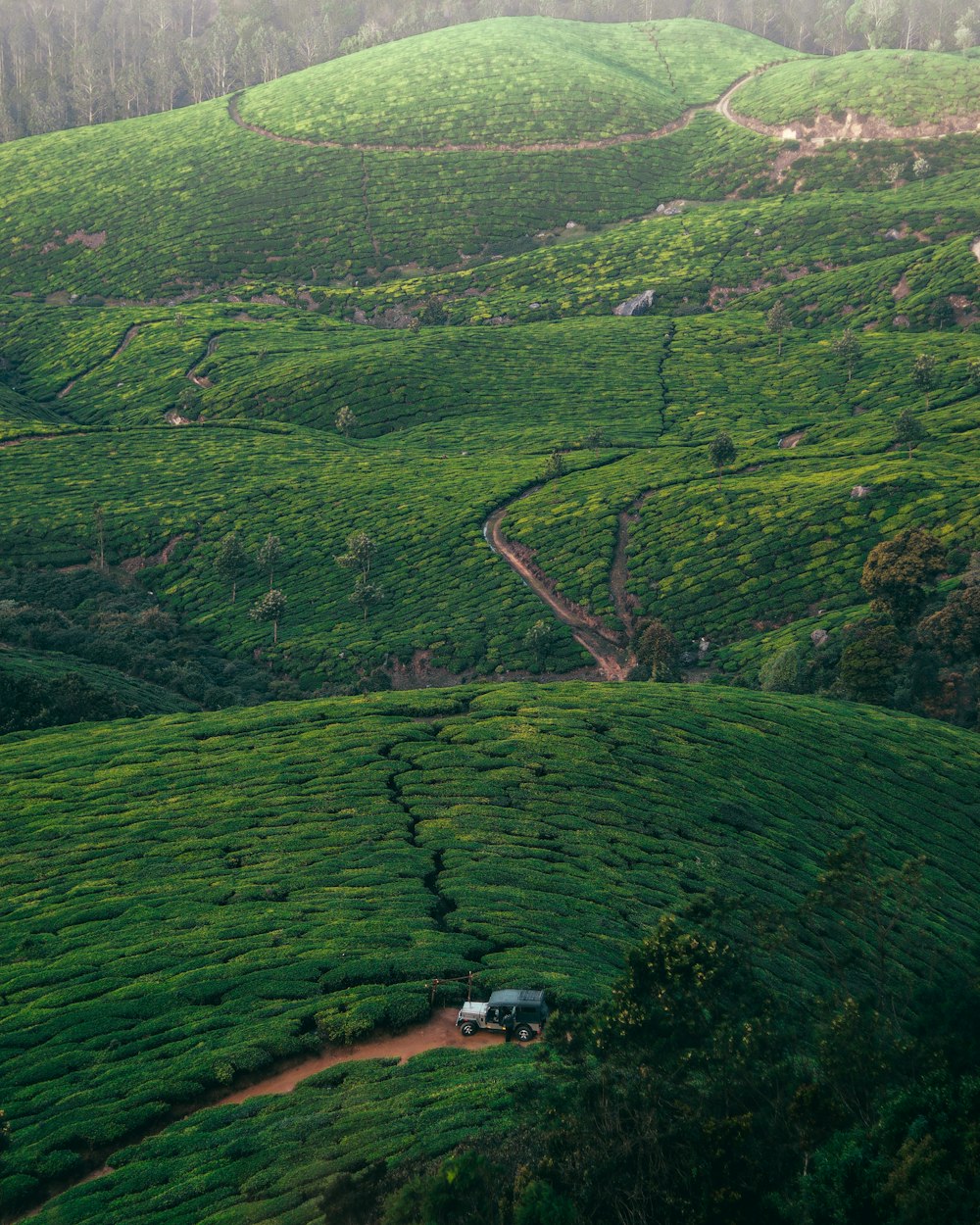 a high angle view of a green landscape