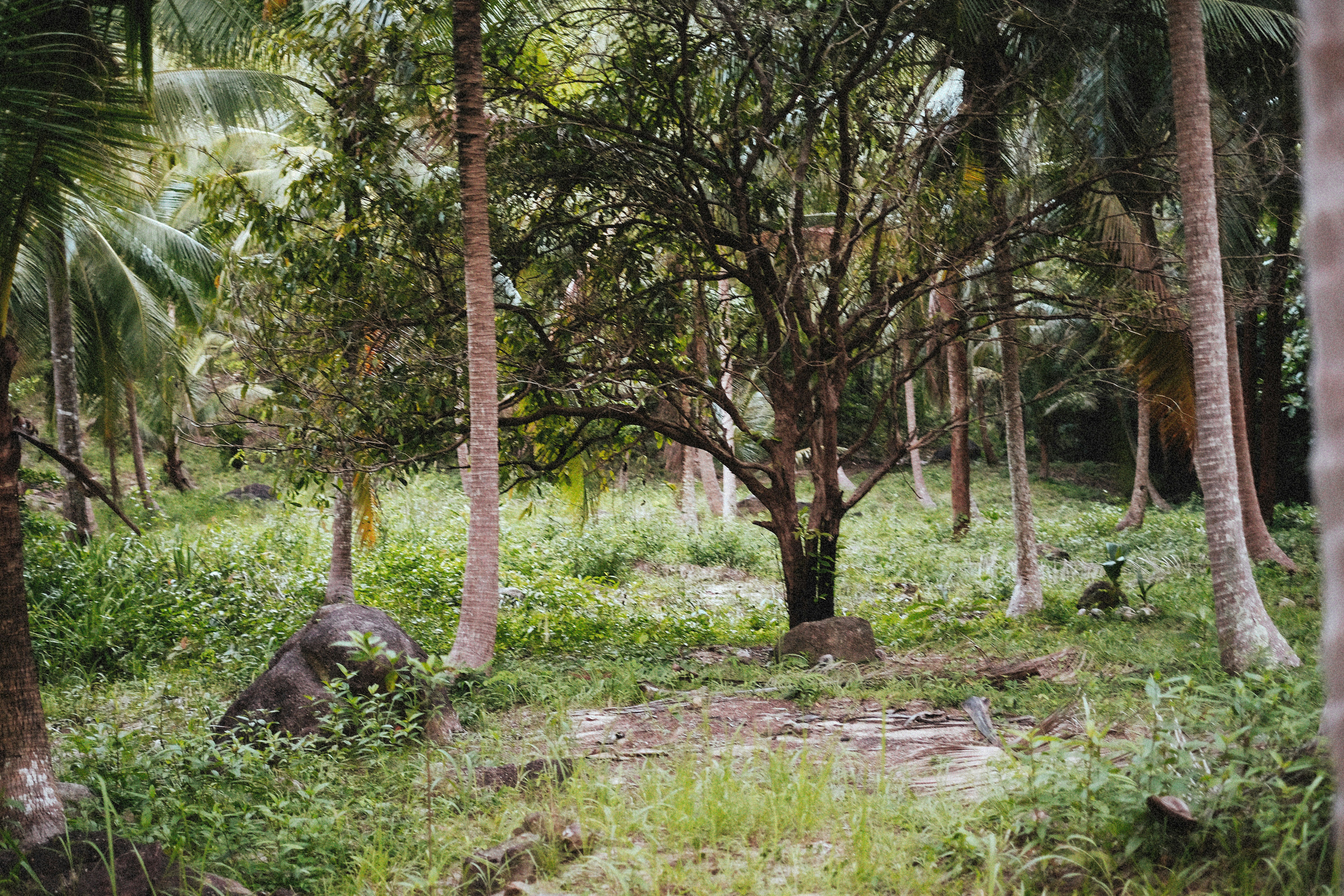 Photo by alexeydemidov