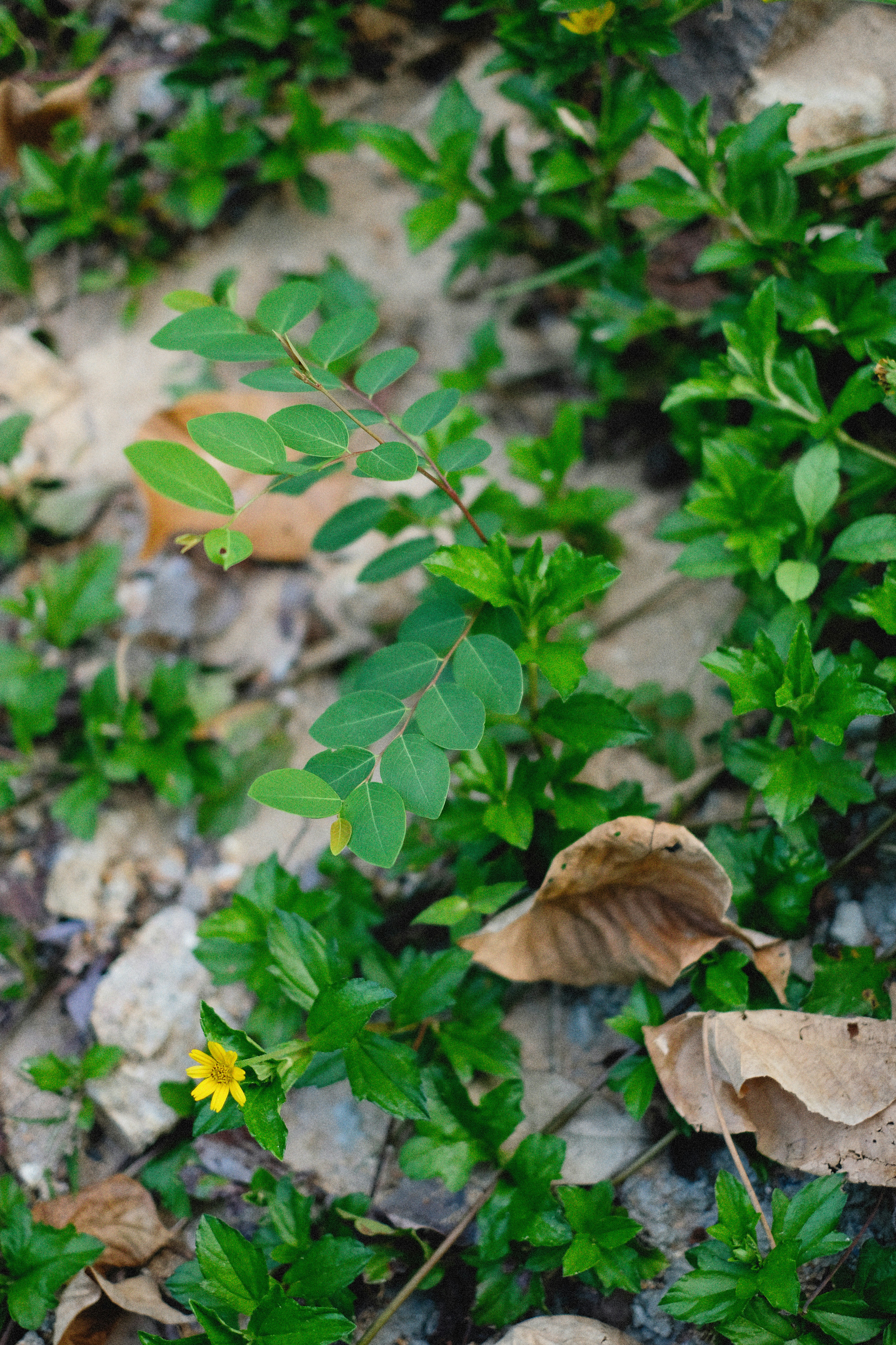 Photo by alexeydemidov