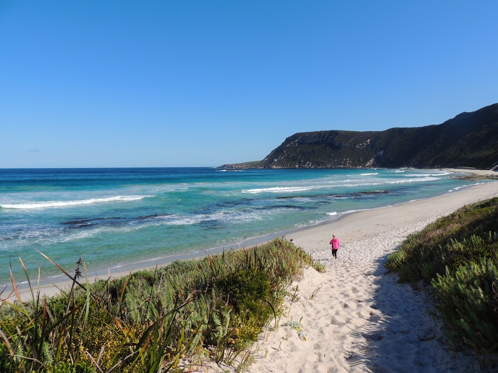 a person walking on a beach