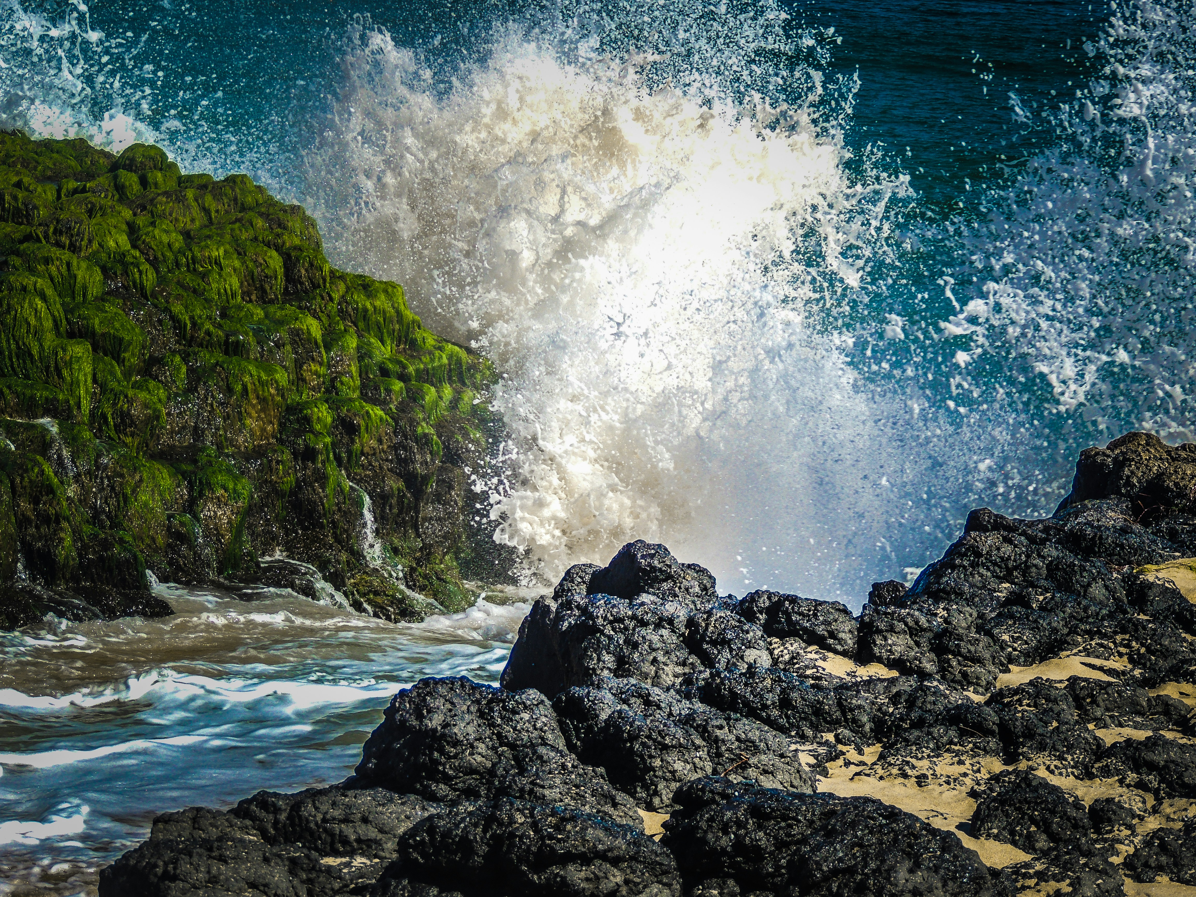 Photo by debbieducic