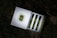 A box containing three perfume vials is open, revealing the vials neatly arranged in a row. Each vial has a greenish hue with black caps and is adorned with vintage-style labels. The box features an intricate design on the inside and a decorative emblem on the outside. It rests on a surface covered with grass and leaves, giving a natural, rustic backdrop.