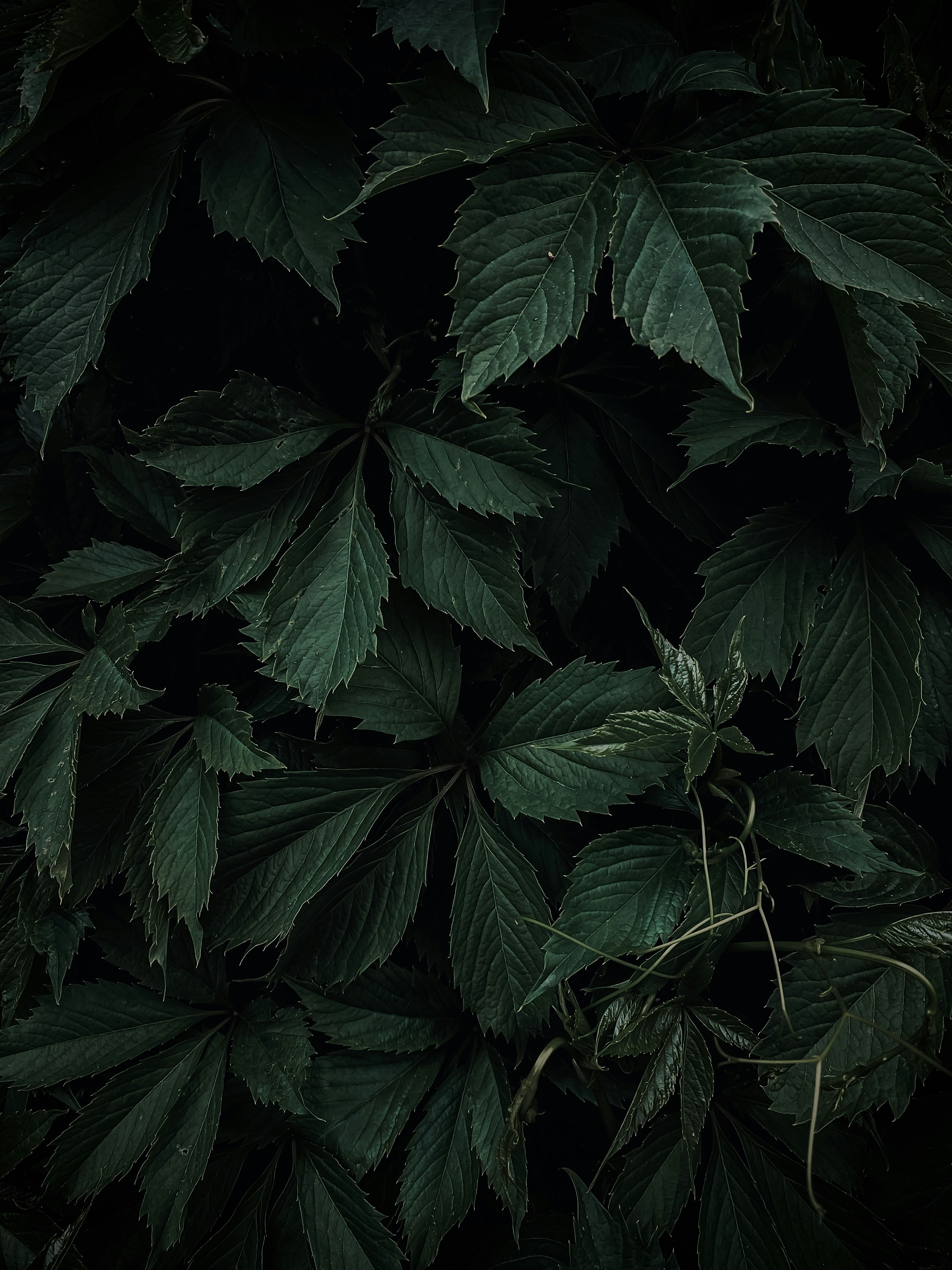 Photo by eugene_golovesov