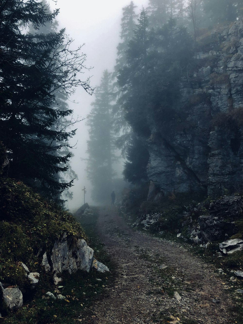 a dirt road with trees on either side of it