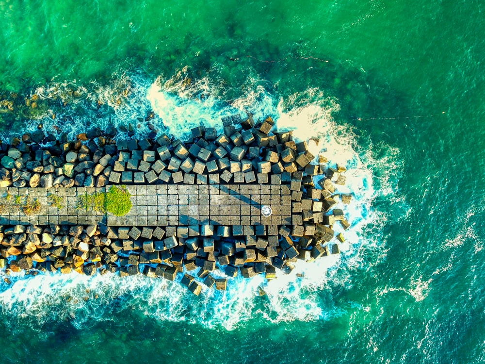 Un gran grupo de peces nadando en el océano